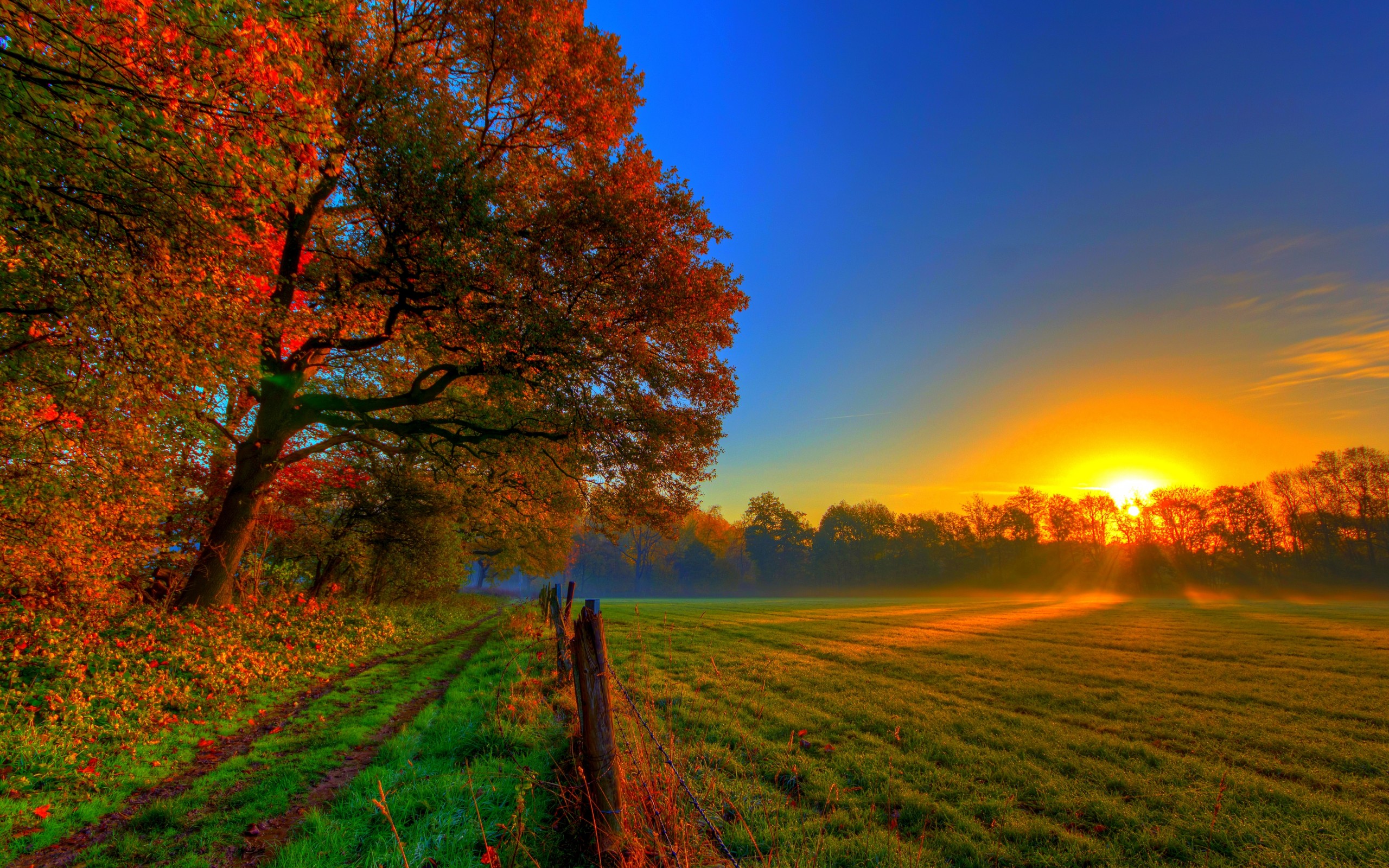 Téléchargez gratuitement l'image Coucher De Soleil, Terre/nature sur le bureau de votre PC