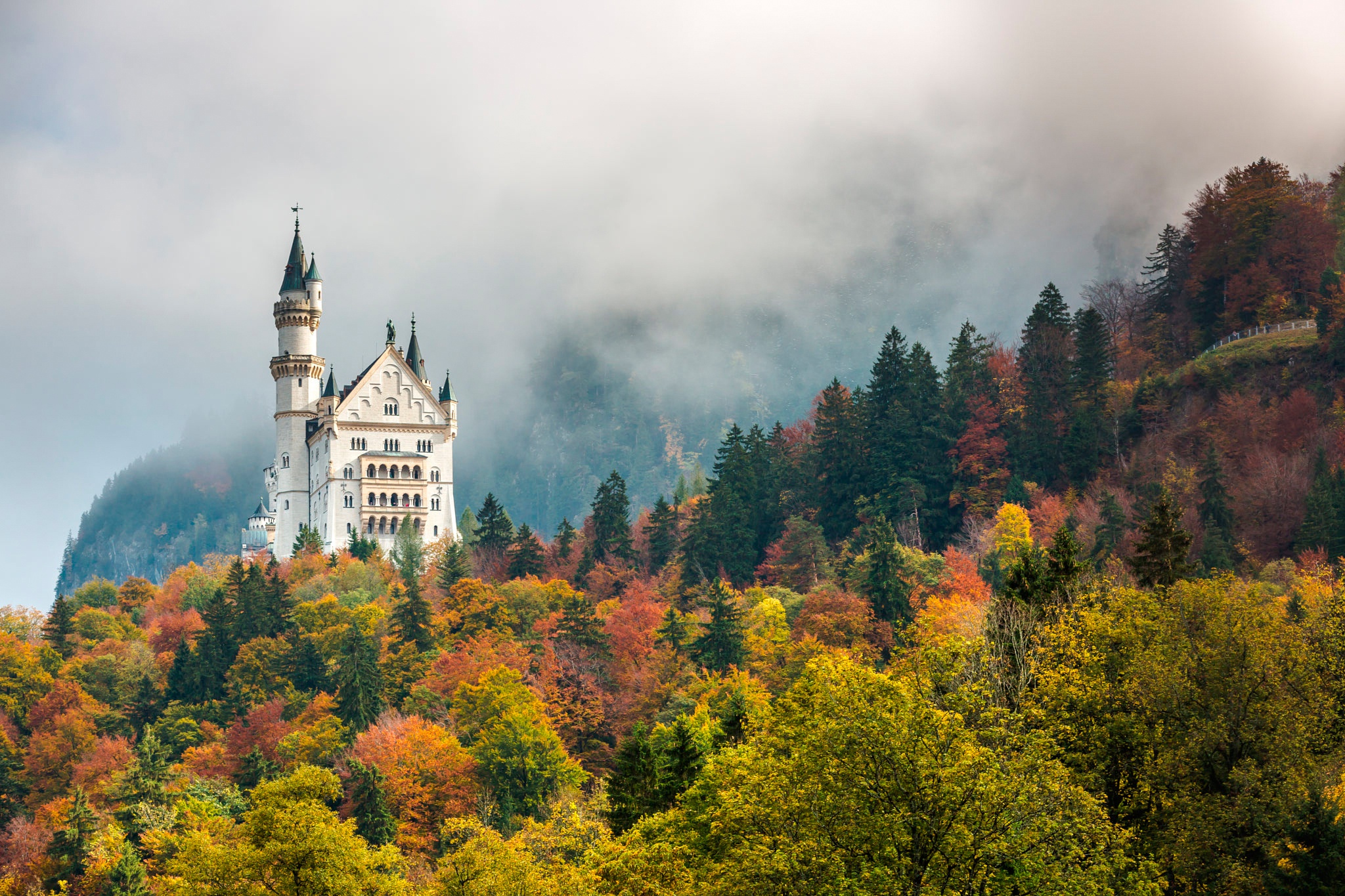 Baixar papel de parede para celular de Outono, Castelos, Floresta, Alemanha, Castelo, Castelo De Neuschwanstein, Feito Pelo Homem, Neblina gratuito.