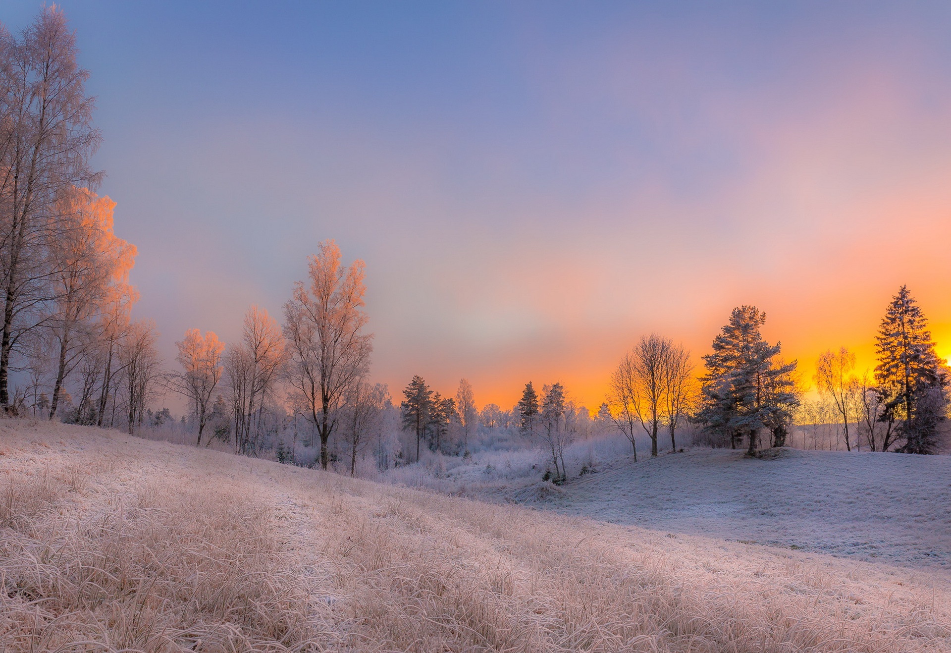 Descarga gratis la imagen Invierno, Nieve, Árbol, Atardecer, Tierra/naturaleza en el escritorio de tu PC