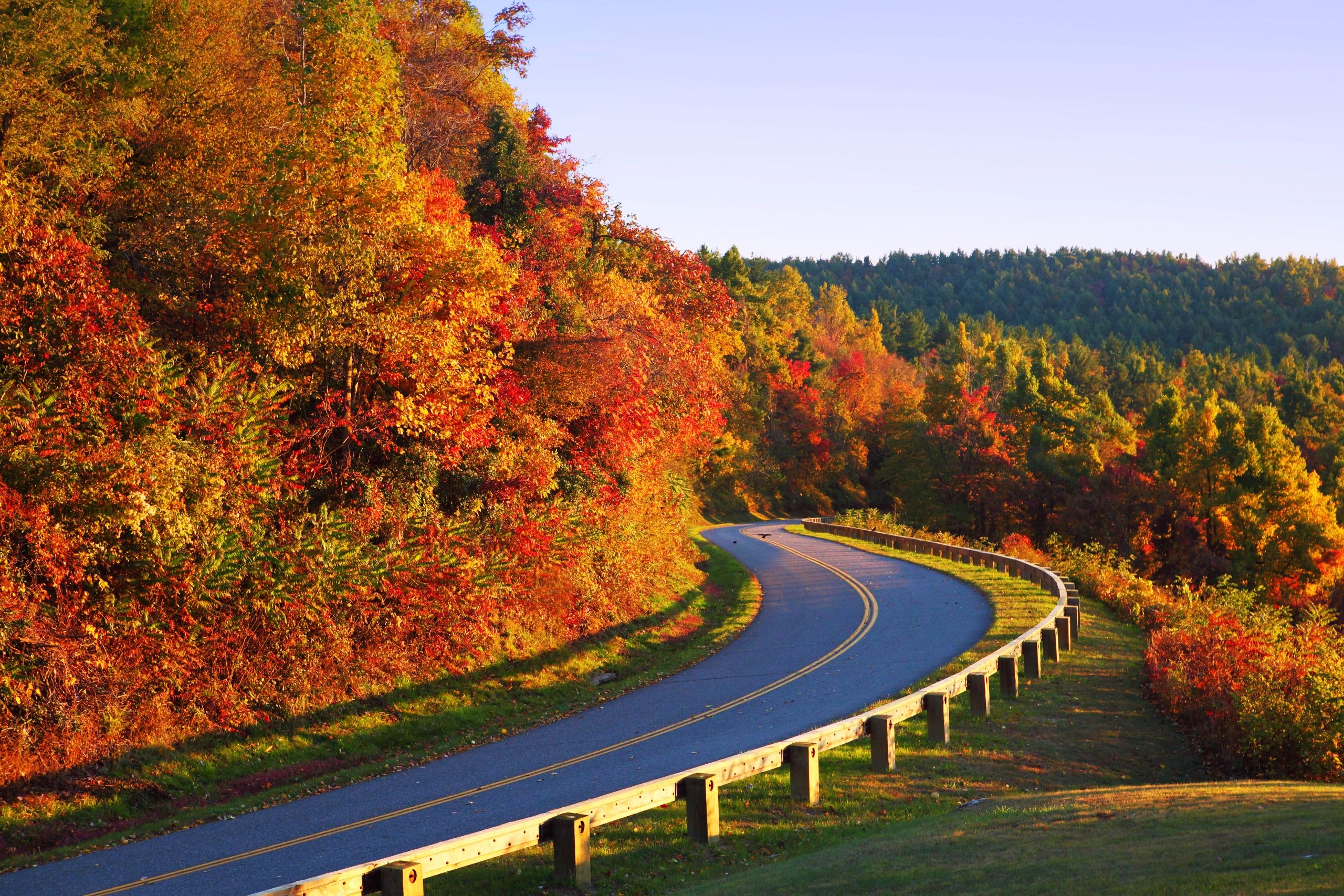 Descarga gratis la imagen Otoño, Árbol, Carretera, Hecho Por El Hombre en el escritorio de tu PC