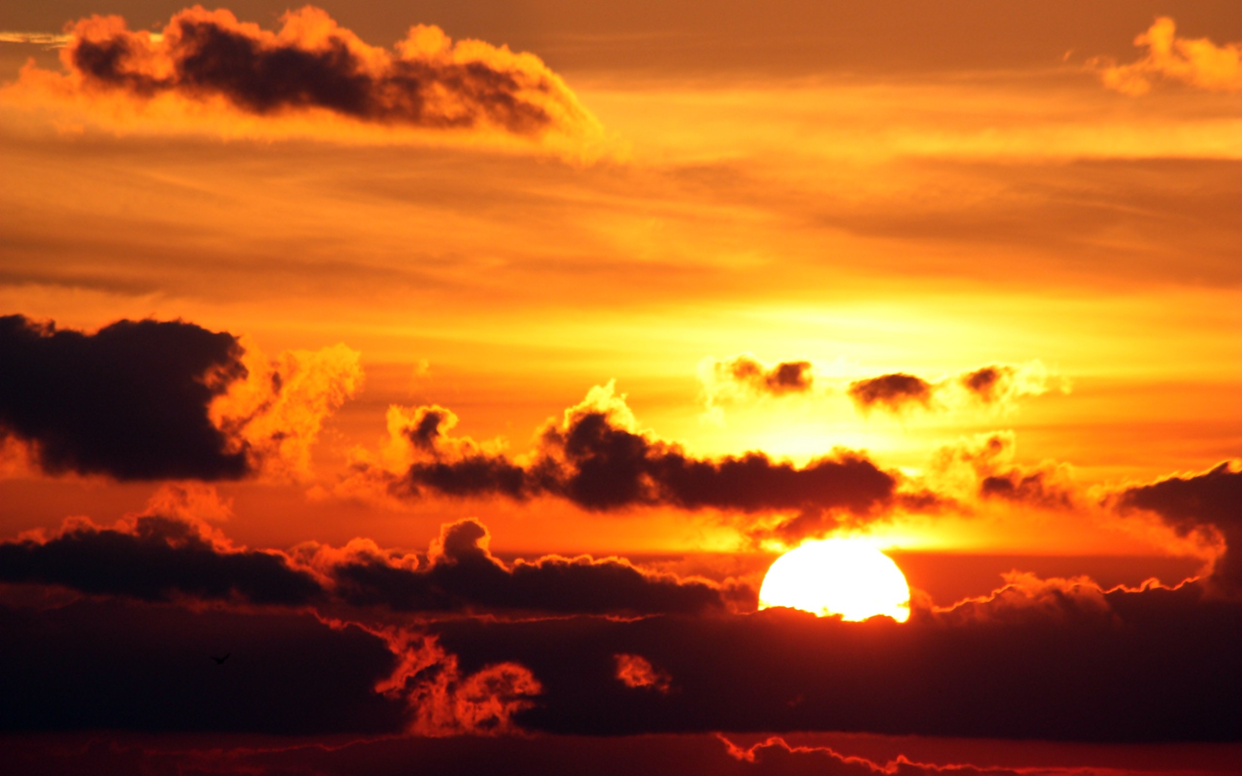 Free download wallpaper Sunset, Earth on your PC desktop