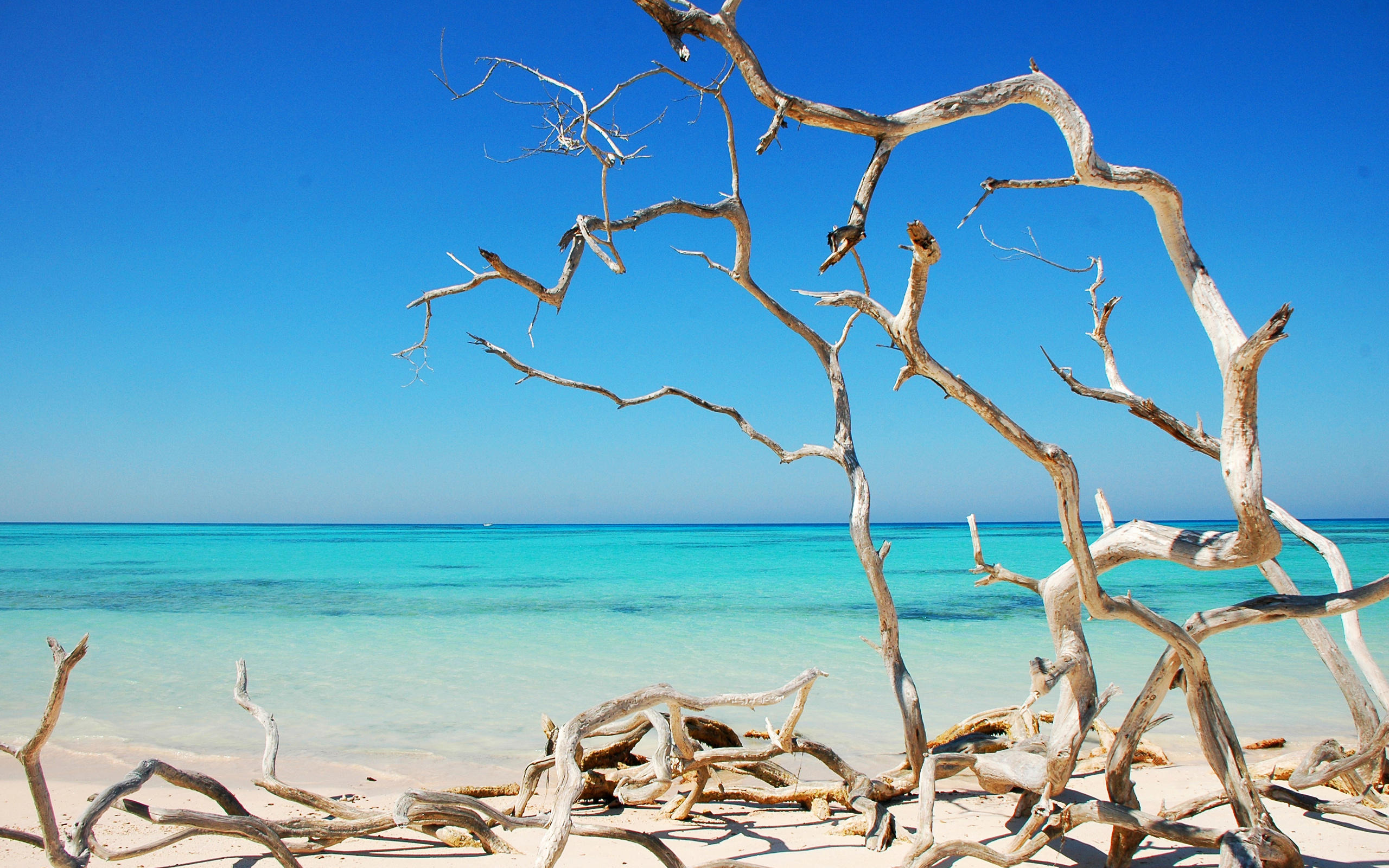 Laden Sie das Strand, Erde/natur-Bild kostenlos auf Ihren PC-Desktop herunter