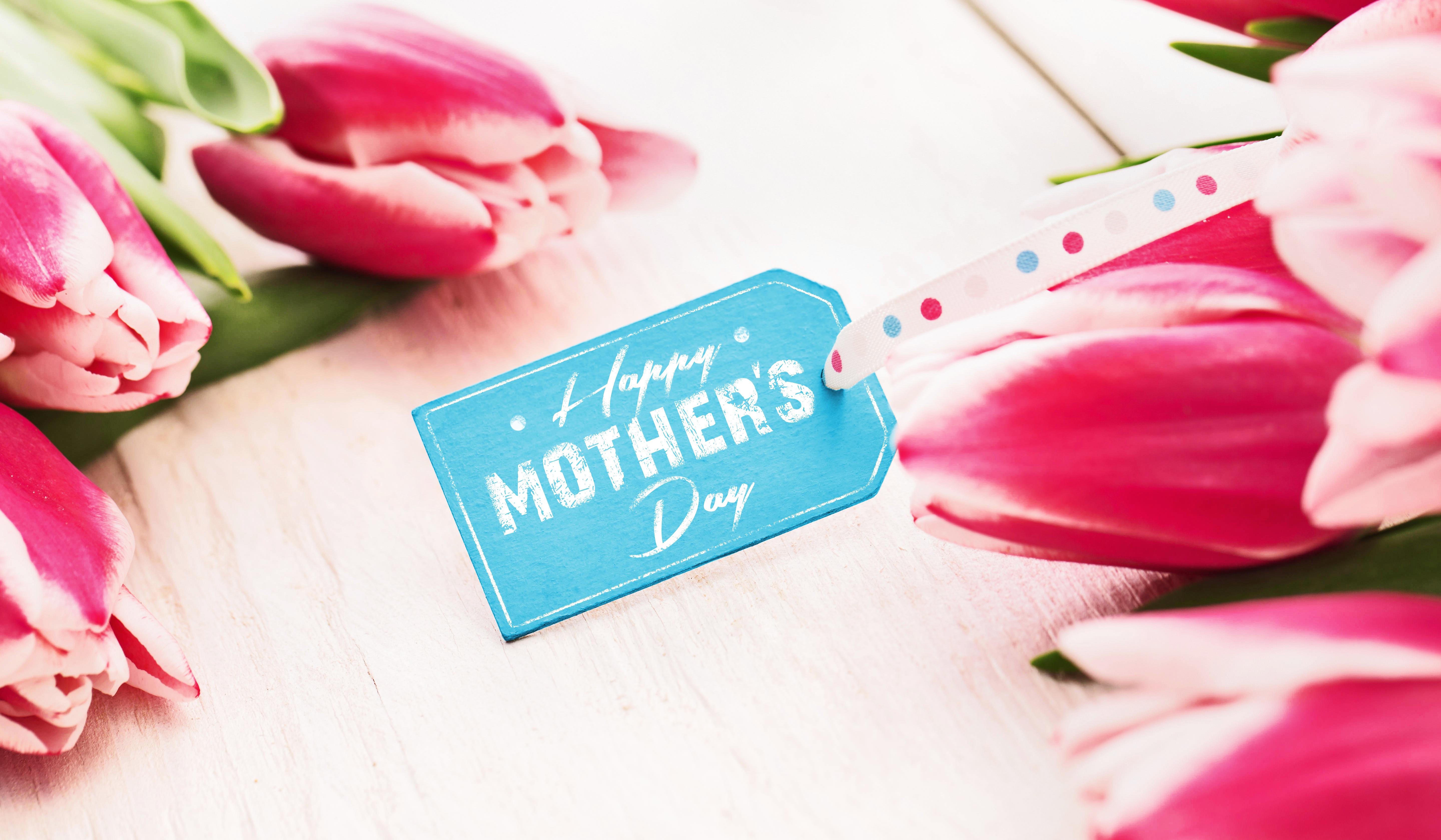 Скачать картинку Цветок, Тюльпан, Праздничные, Розовый Цветок, День Матери в телефон бесплатно.