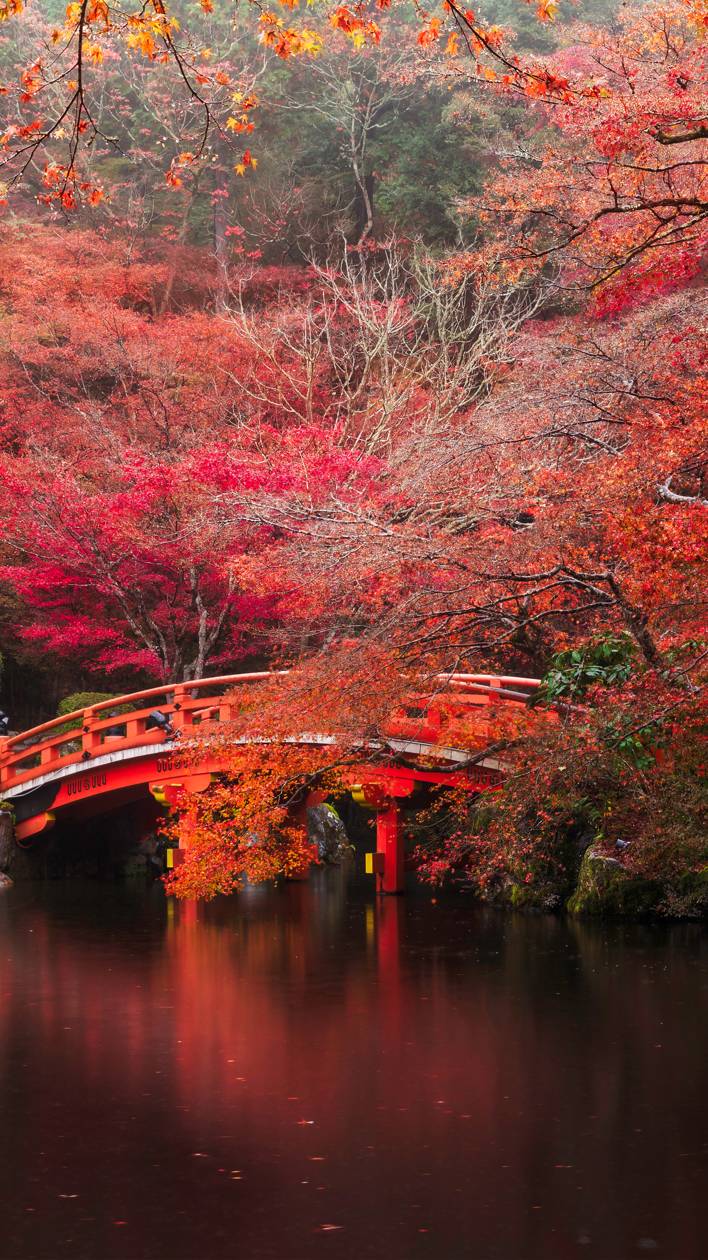 Скачать обои бесплатно Природа, Осень, Парк, Мост, Пагода, Япония, Падать, Храмы, Киото, Религиозные, Дайго Дзи картинка на рабочий стол ПК