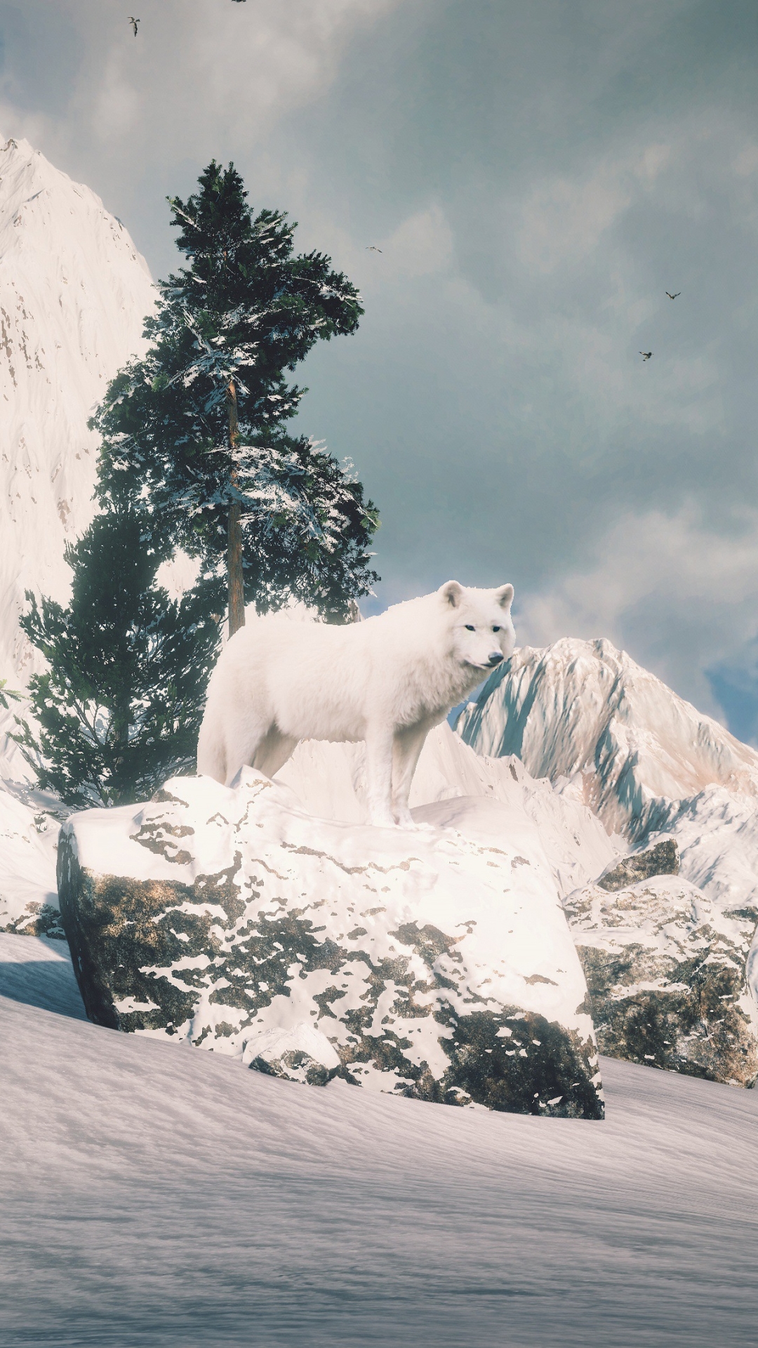 無料モバイル壁紙動物, 冬, 雪, 狼, ホッキョクオオカミをダウンロードします。
