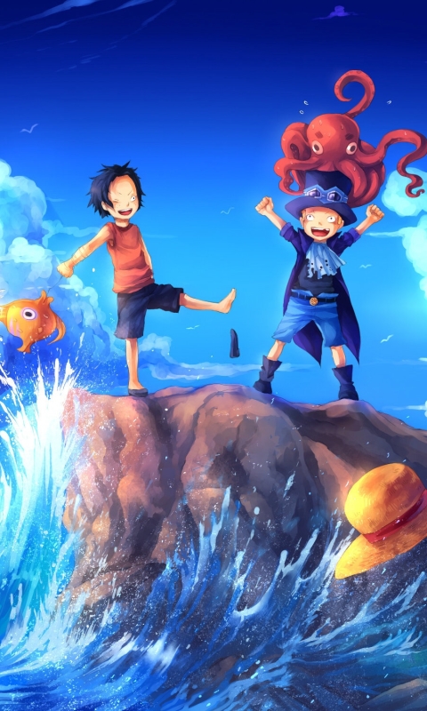 Download mobile wallpaper Anime, One Piece, Monkey D Luffy, Sabo (One Piece) for free.