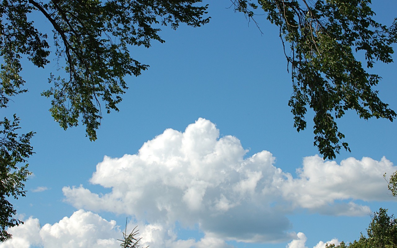 Handy-Wallpaper Clouds, Bäume, Sky, Landschaft kostenlos herunterladen.