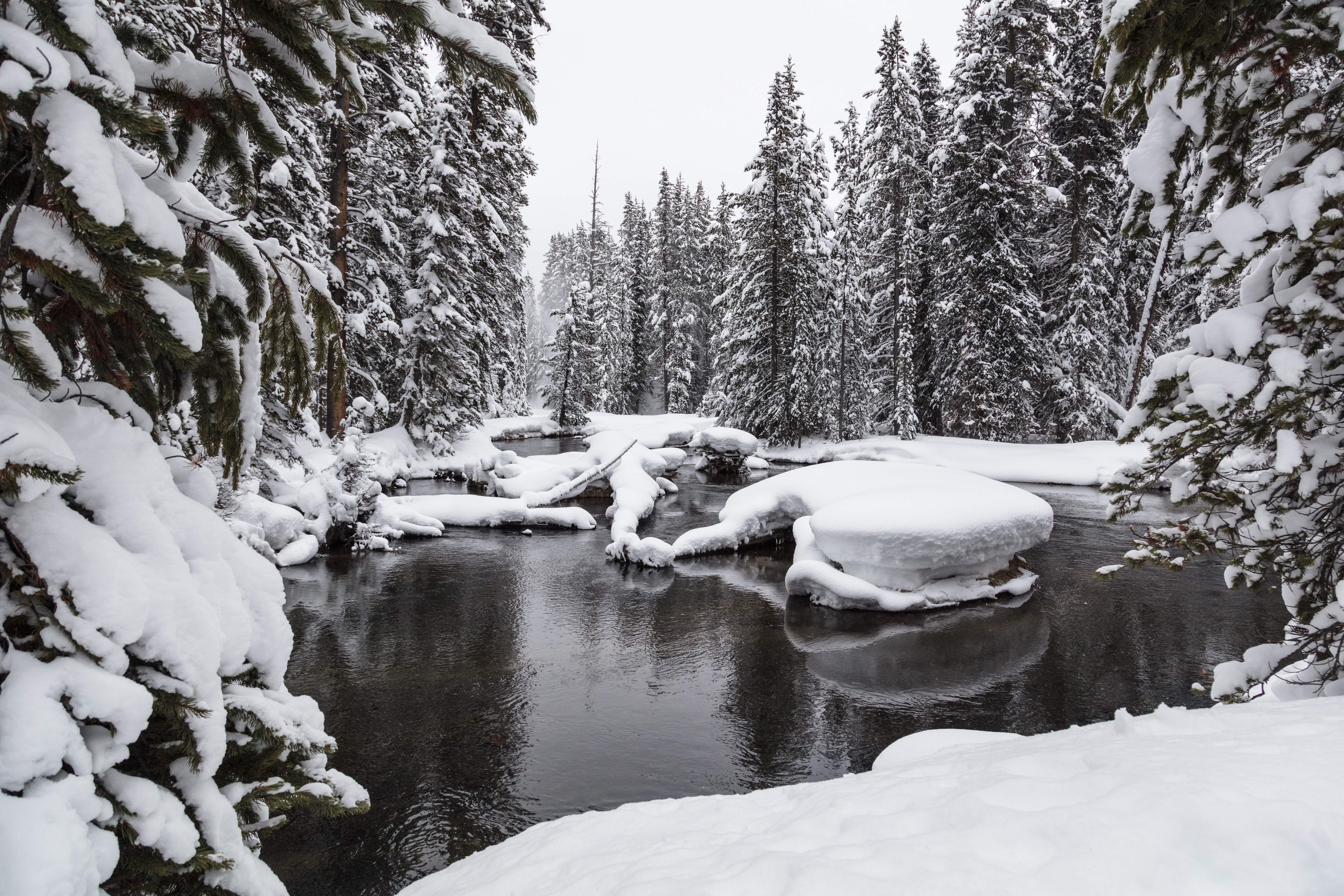 Free download wallpaper Snow, Water, Forest, Nature on your PC desktop
