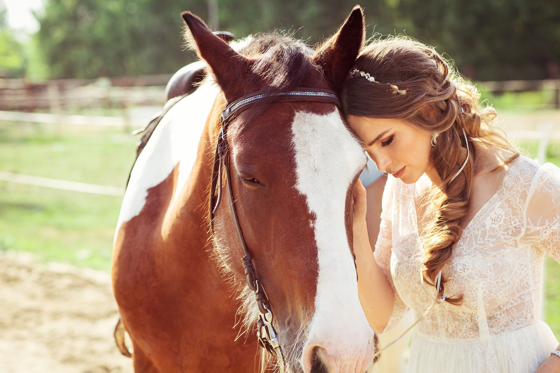 Baixe gratuitamente a imagem Cavalo, Ensolarado, Modelo, Mulheres, Cabelo Castanho, Ânimo, Vestido Branco na área de trabalho do seu PC