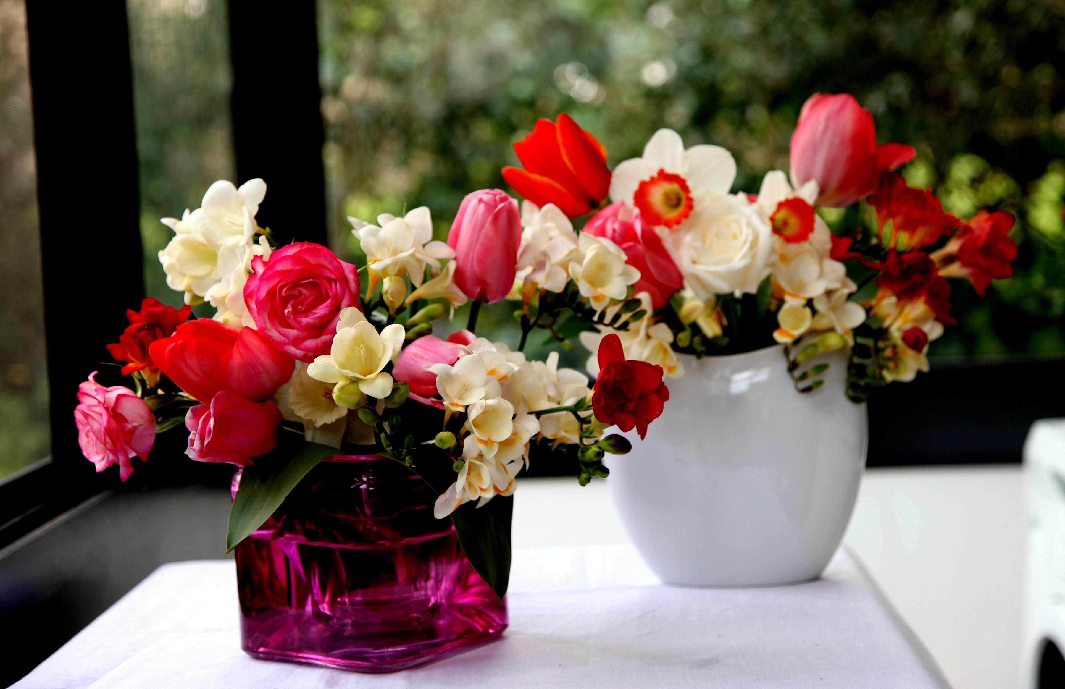 flowers, roses, tulips, narcissussi, bouquets, vases, freesia