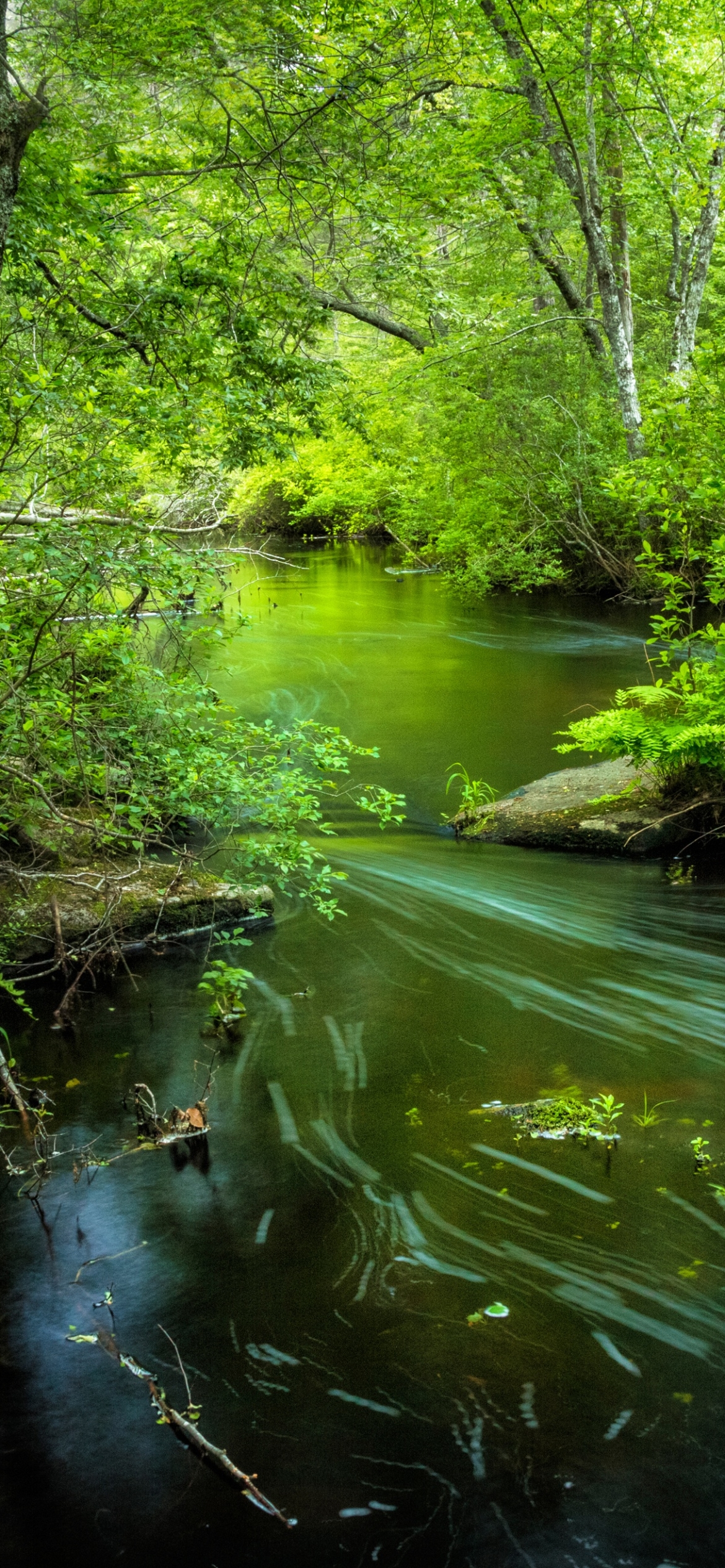 Download mobile wallpaper Nature, Earth, River, Greenery for free.