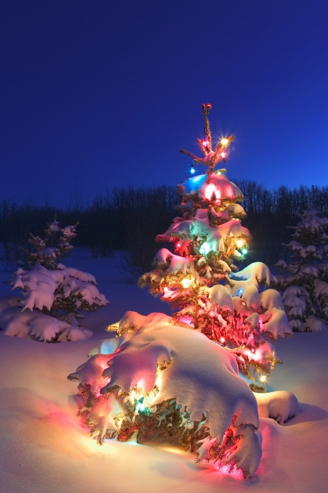 Handy-Wallpaper Feiertage, Winter, Schnee, Weihnachten, Weihnachtsbaum, Weihnachtsbeleuchtung kostenlos herunterladen.