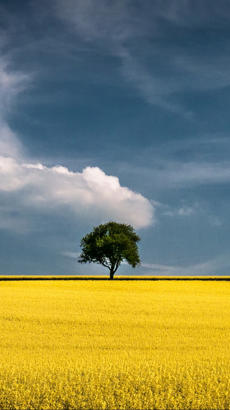 Handy-Wallpaper Landschaft, Erde/natur kostenlos herunterladen.