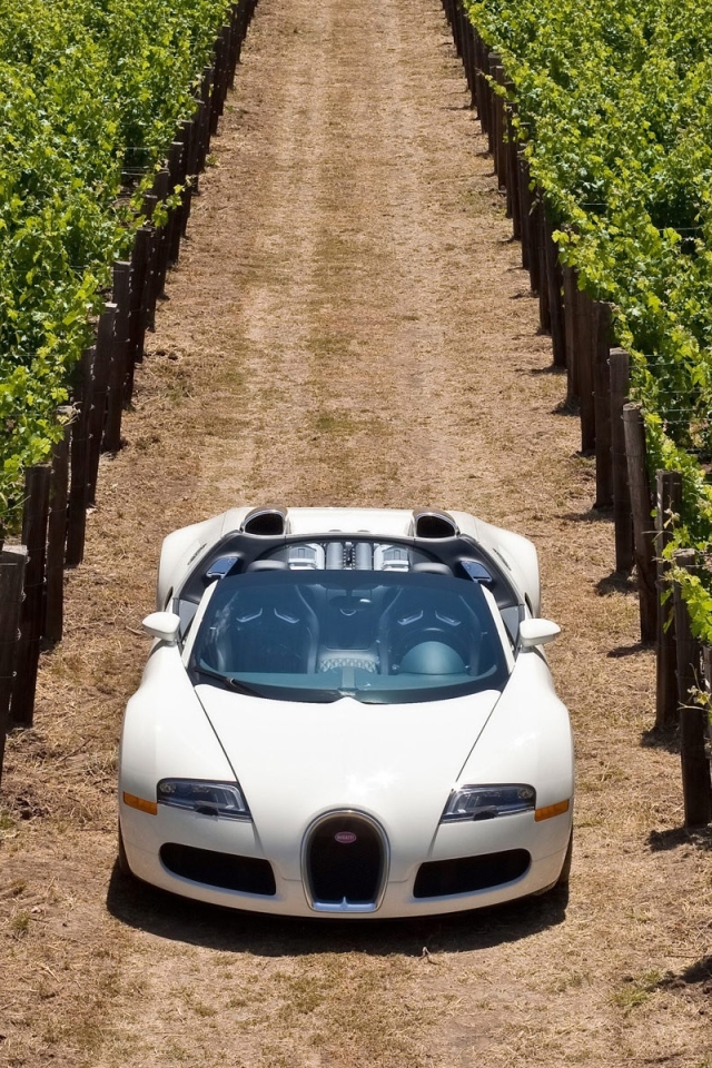 Download mobile wallpaper Bugatti, Vineyard, Vehicles, Italian for free.