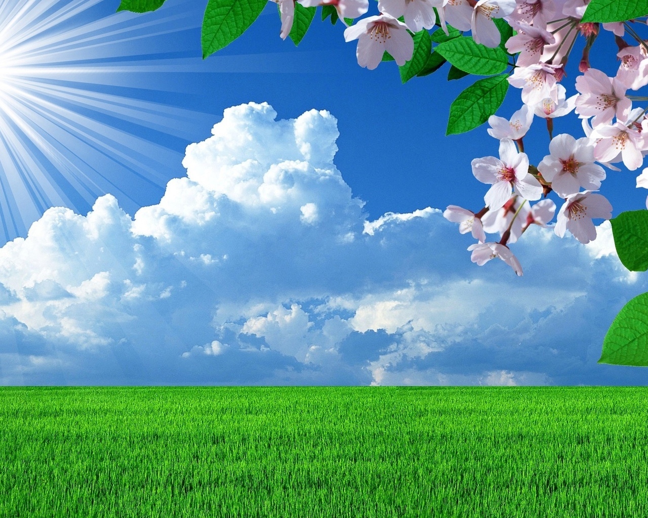 18033 Hintergrundbild herunterladen felder, landschaft, blumen, grass, sky, clouds, blau - Bildschirmschoner und Bilder kostenlos