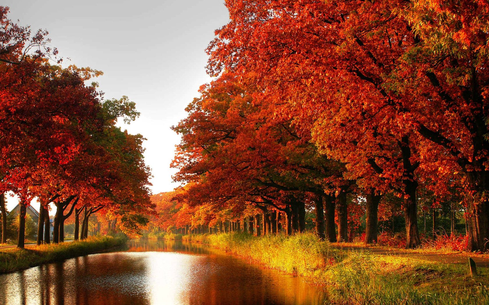 nature, trees, autumn, orange, forest, channel