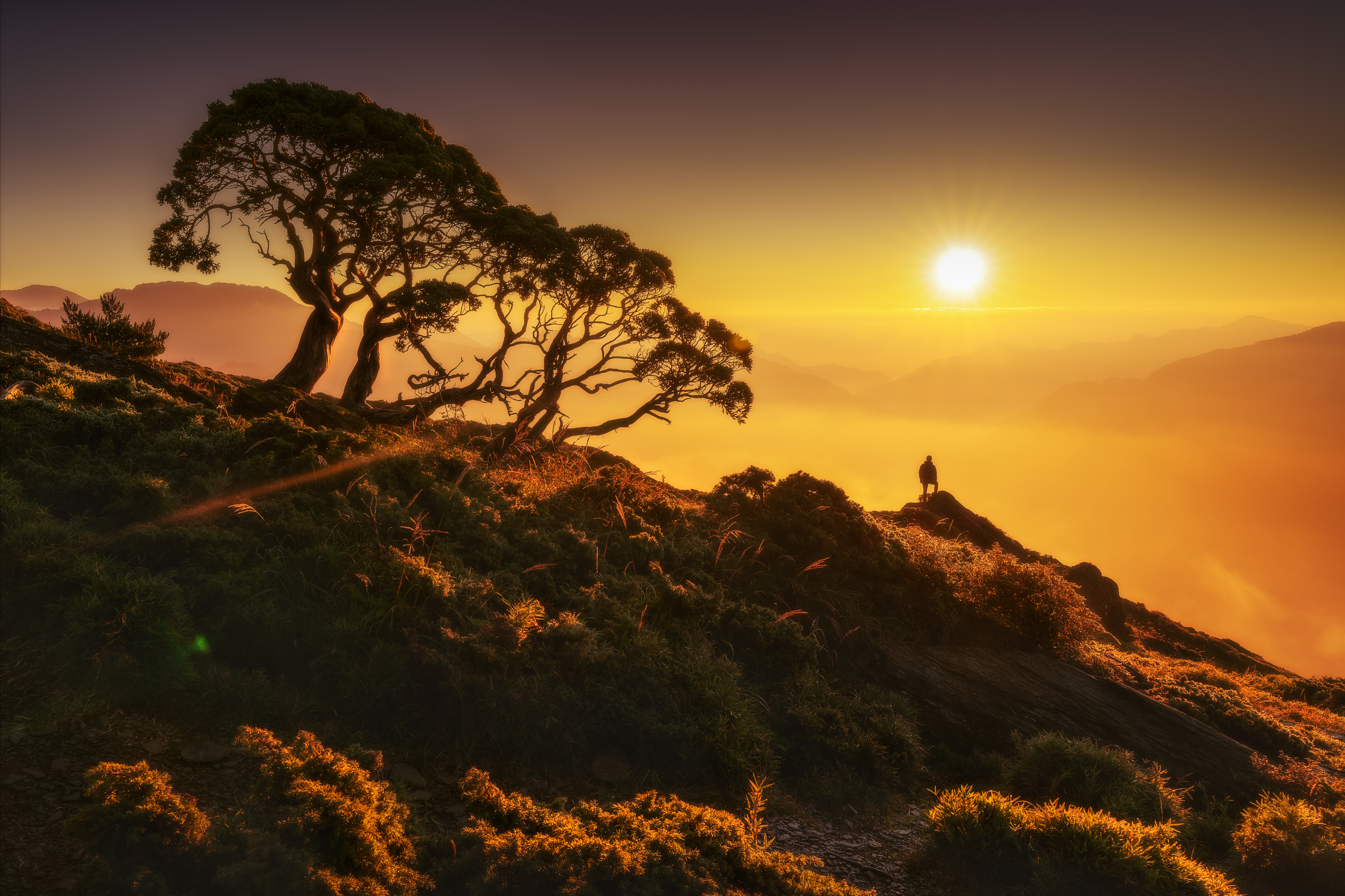 Free download wallpaper Hill, Sun, Nature, Silhouette on your PC desktop