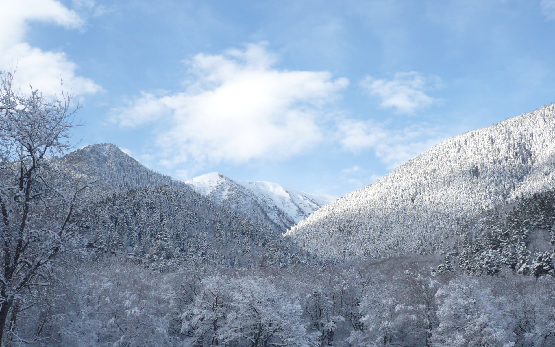 PCデスクトップに冬, 自然, 雪, 山, 森, 地球画像を無料でダウンロード