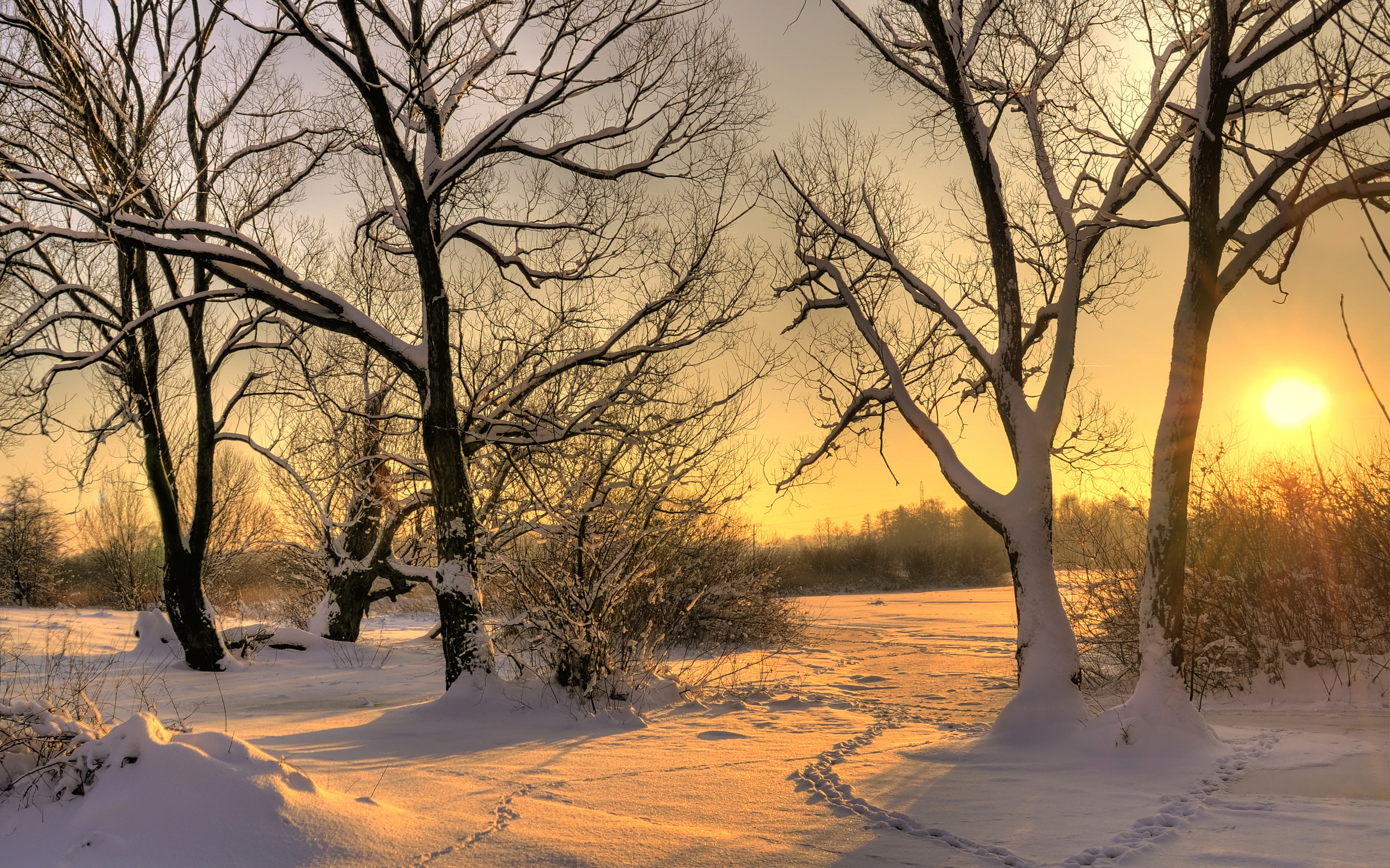 Laden Sie das Sonnenstrahl, Erde/natur-Bild kostenlos auf Ihren PC-Desktop herunter