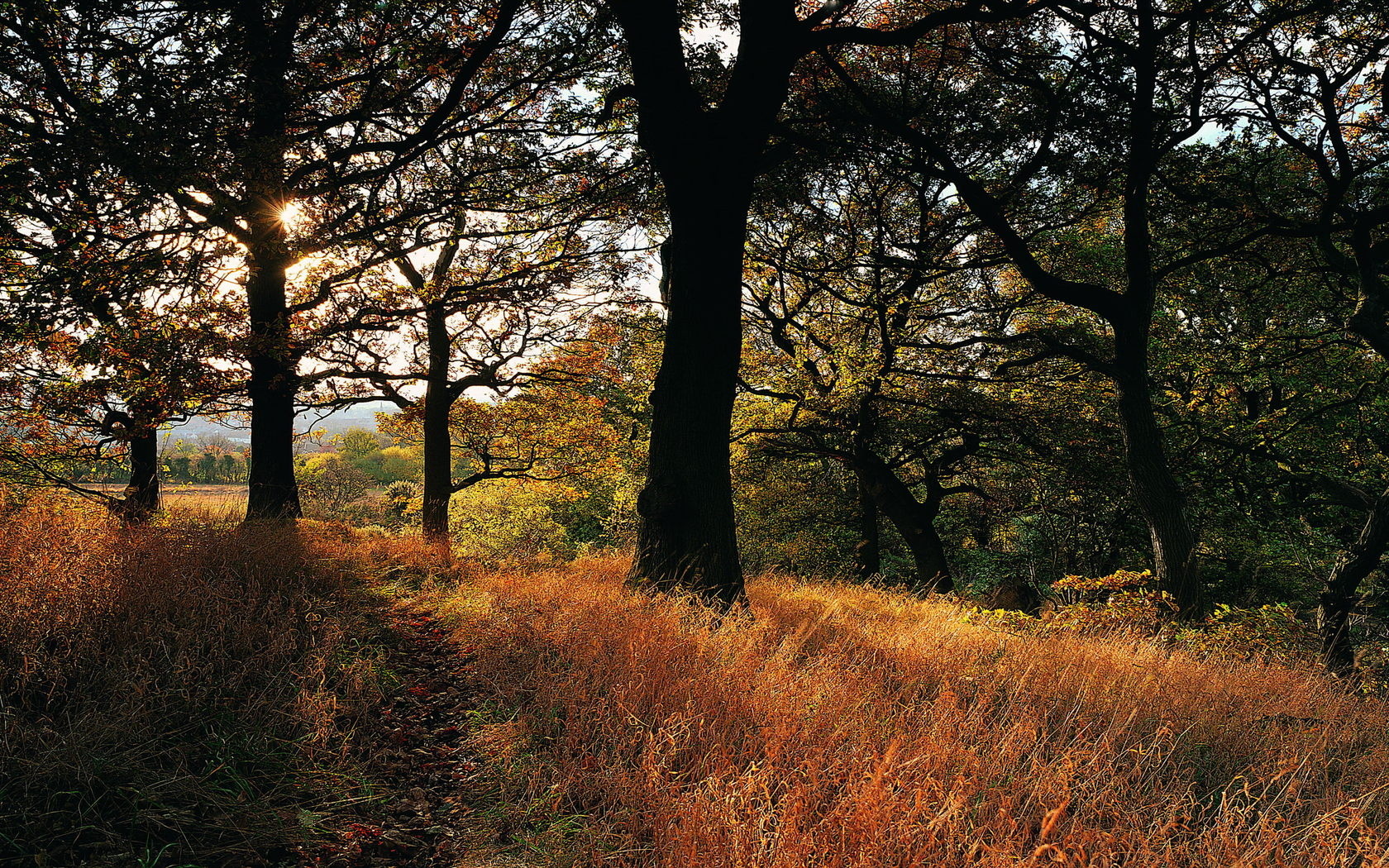 Baixe gratuitamente a imagem Paisagem, Terra/natureza na área de trabalho do seu PC