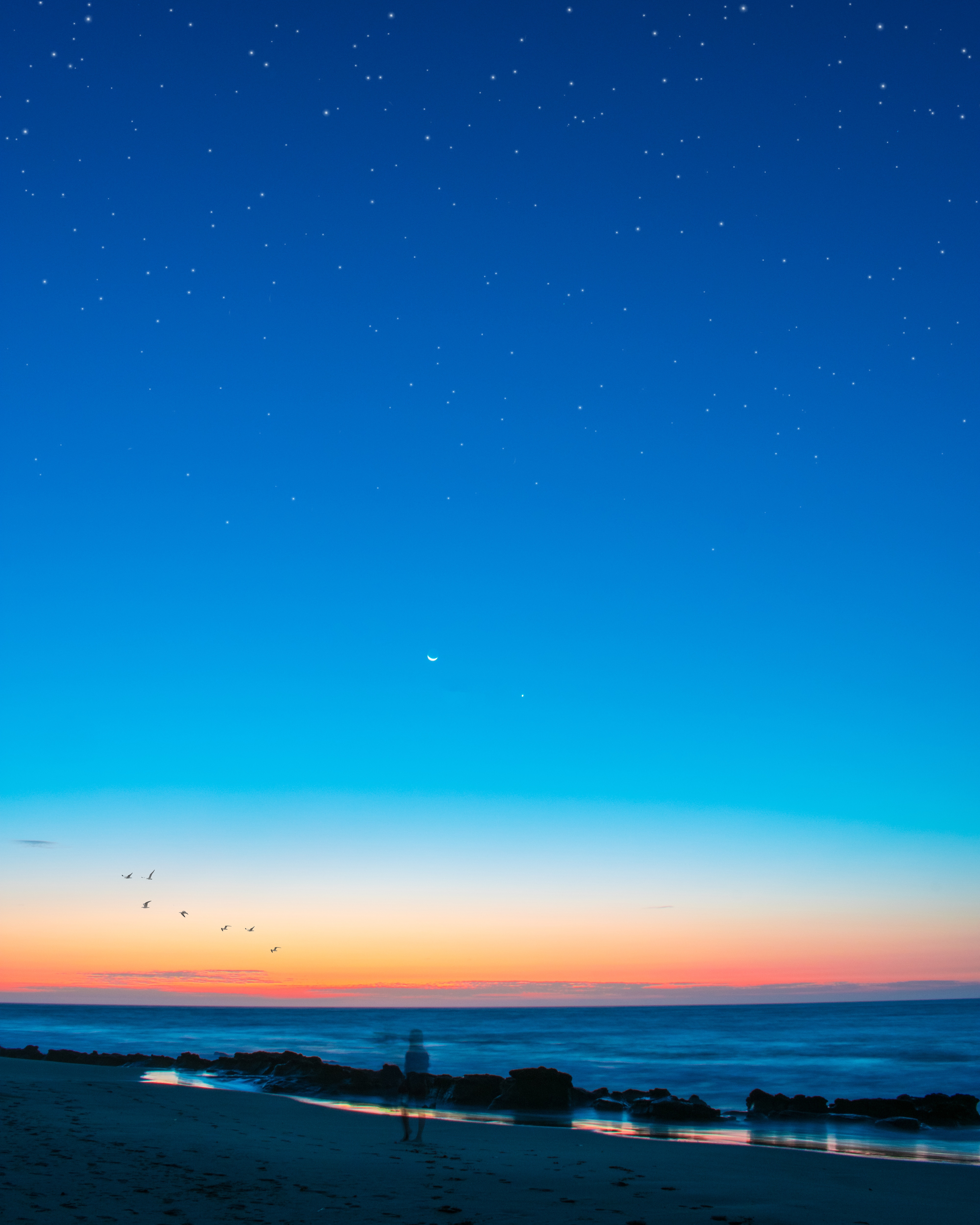 silhouette, birds, nature, sunset, sea, loneliness, mirage Free Stock Photo