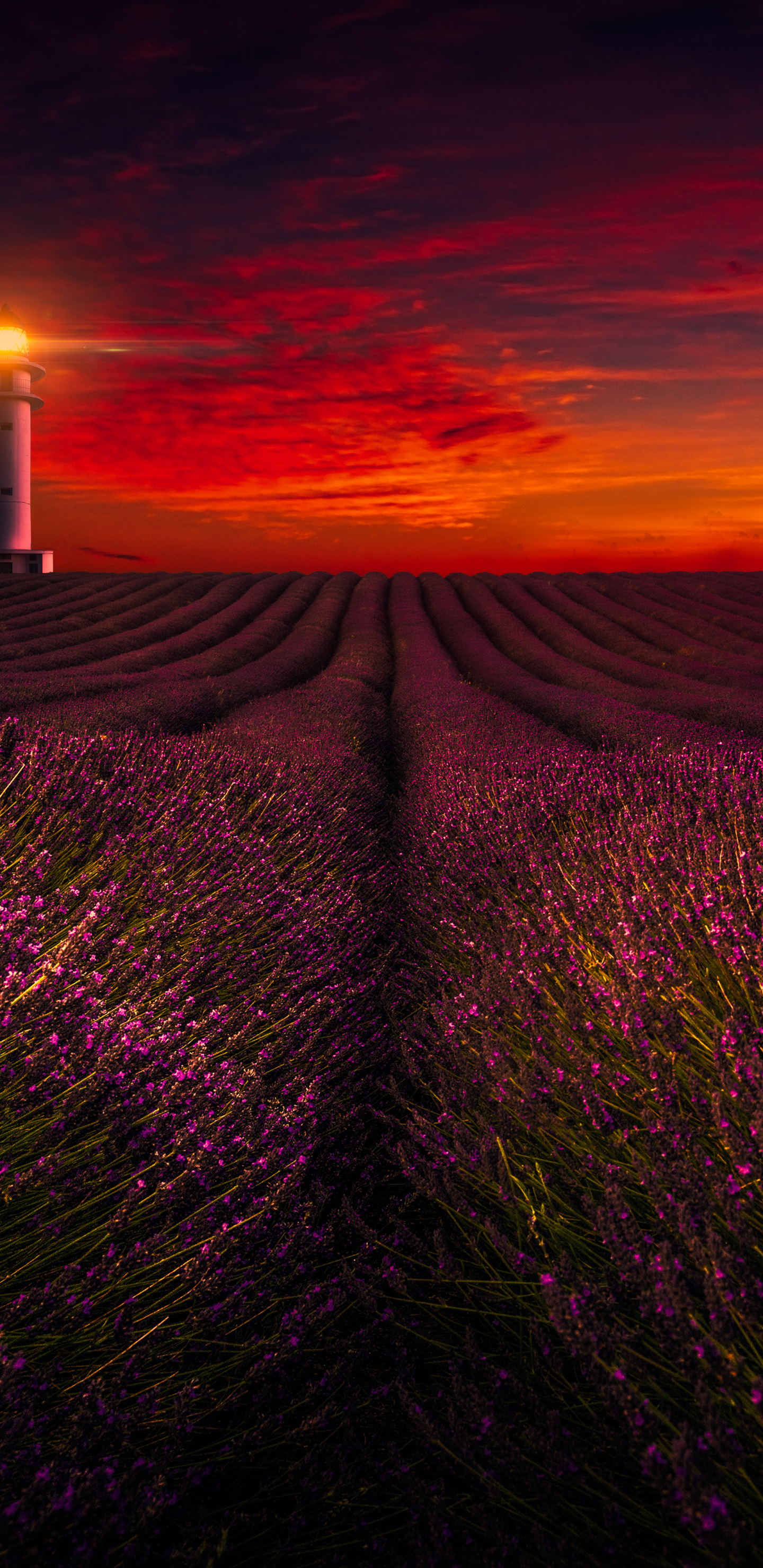 Download mobile wallpaper Landscape, Field, Lavender, Photography, Purple Flower for free.