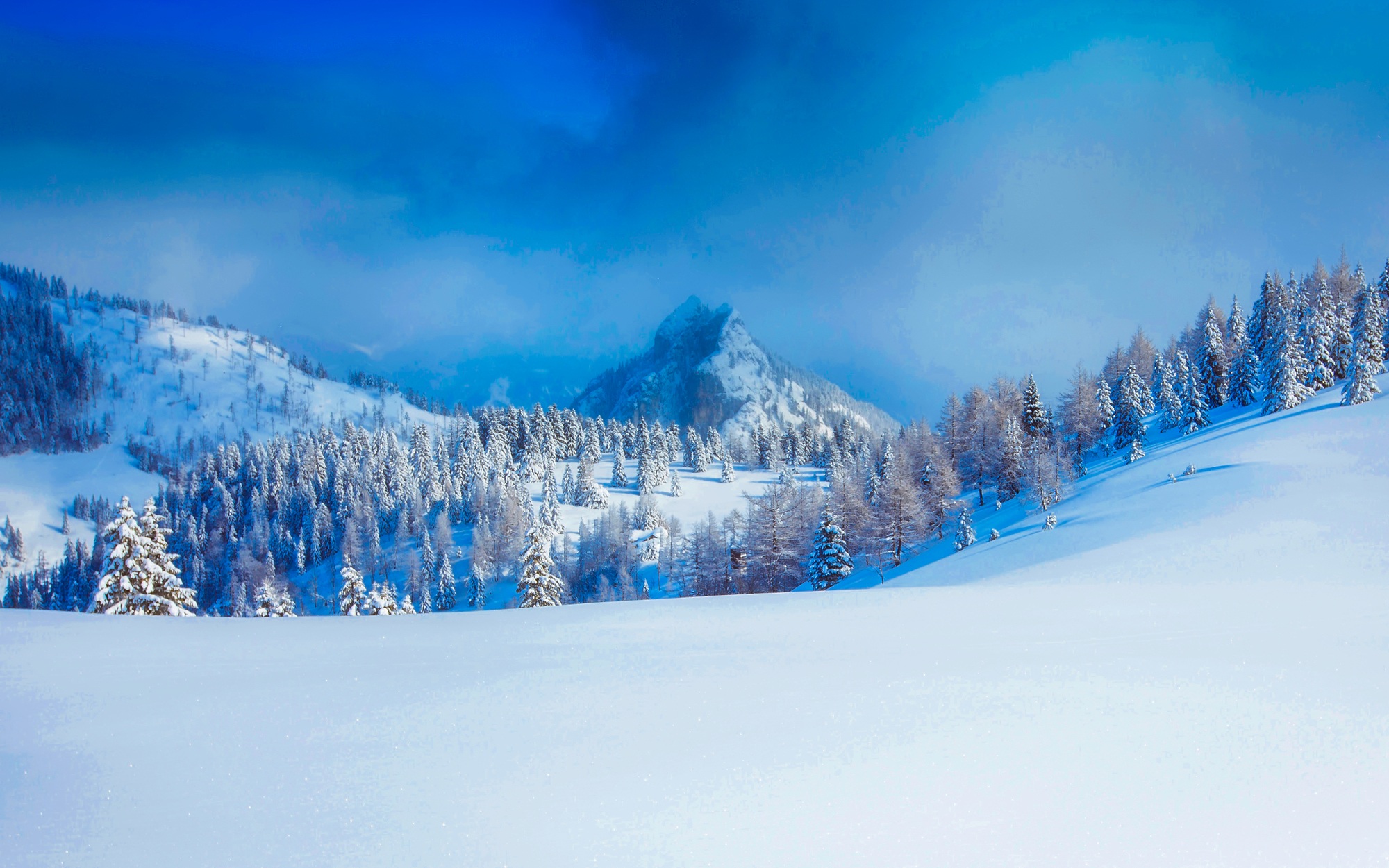 Скачать обои бесплатно Зима, Снег, Гора, Лес, Дерево, Австрия, Альпы, Земля/природа картинка на рабочий стол ПК