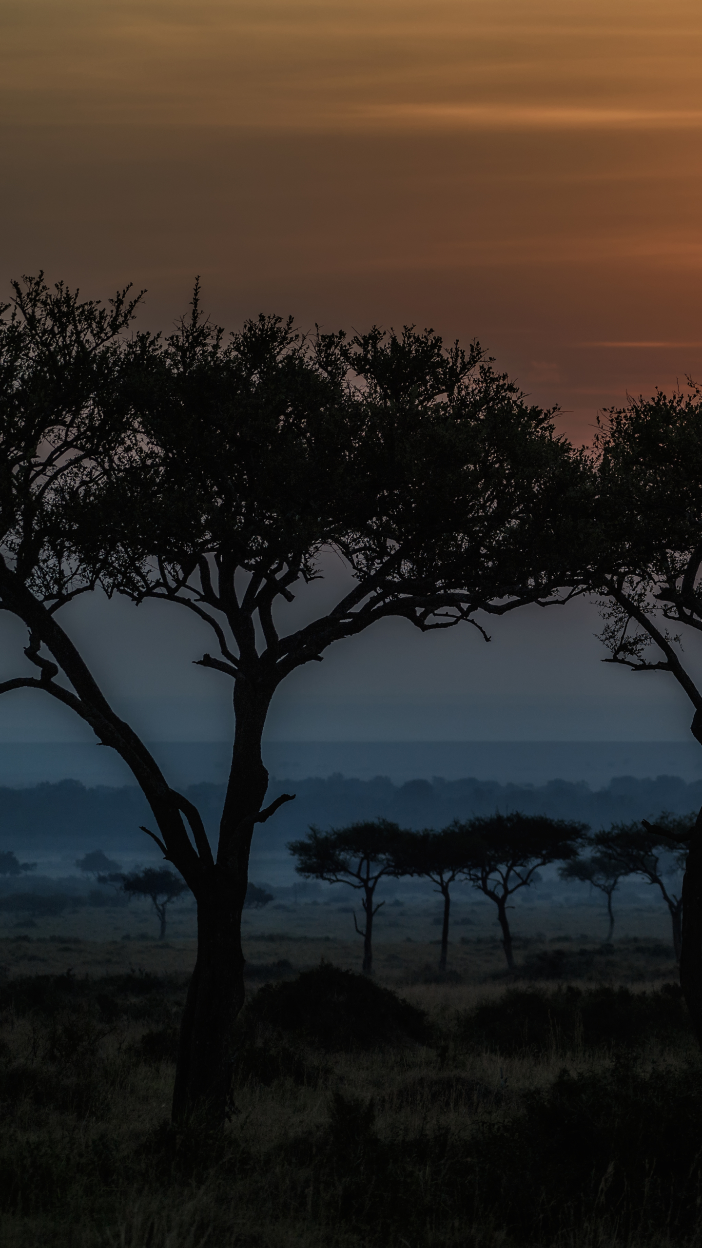 Handy-Wallpaper Landschaft, Sonnenaufgang, Dämmerung, Afrika, Erde/natur, Savanne, Kenia kostenlos herunterladen.