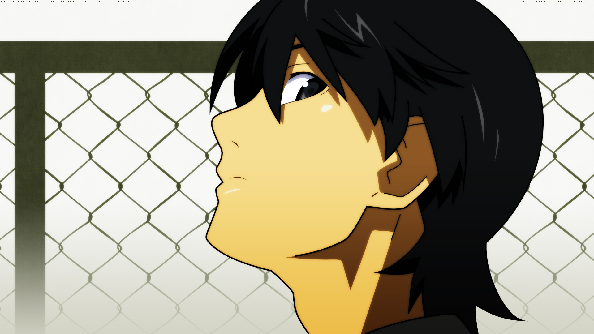 Free download wallpaper Anime, Black Hair, Monogatari (Series), Koyomi Araragi on your PC desktop