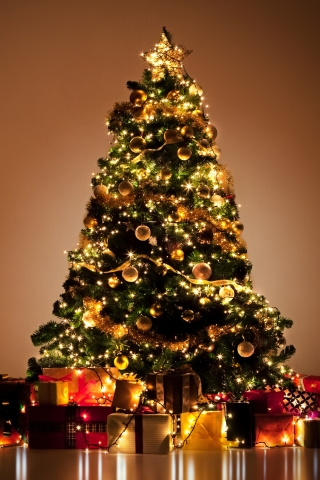 Download mobile wallpaper Christmas, Holiday, Gift, Christmas Tree, Christmas Ornaments, Christmas Lights for free.