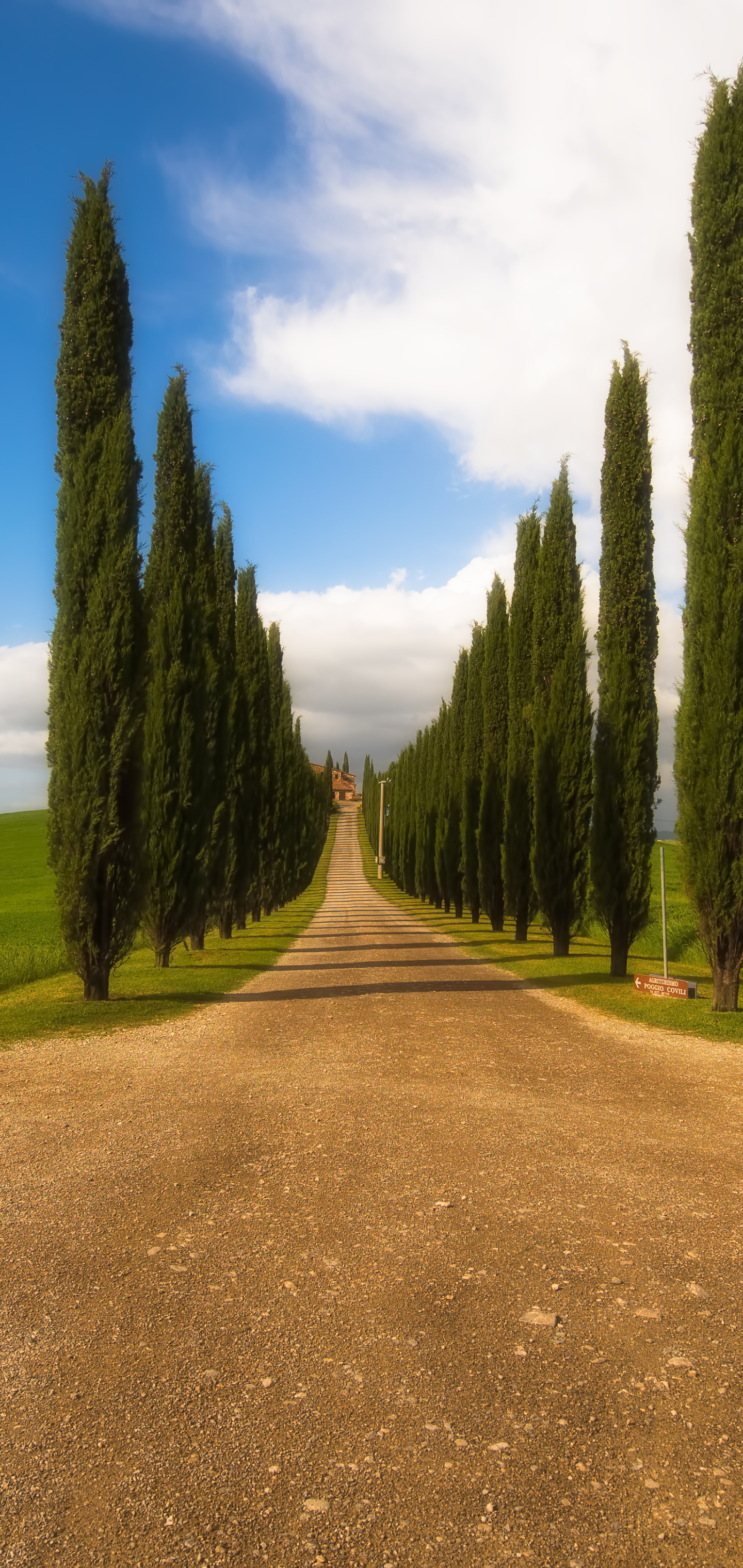 Скачати мобільні шпалери Пейзаж, Італія, Дорога, Тоскана, Створено Людиною, Обсаджений Деревами безкоштовно.