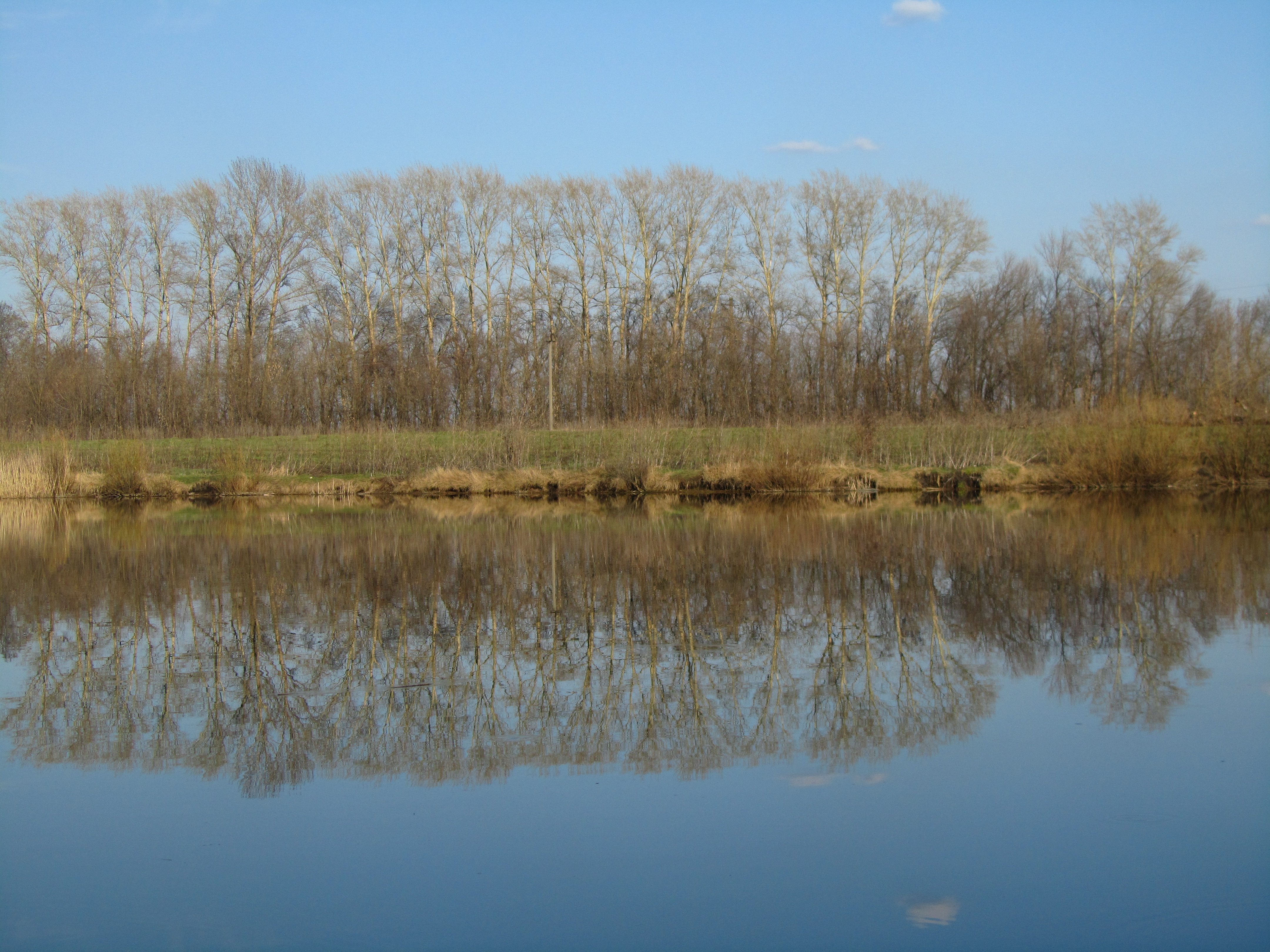 Baixe gratuitamente a imagem Terra/natureza, Reflecção na área de trabalho do seu PC