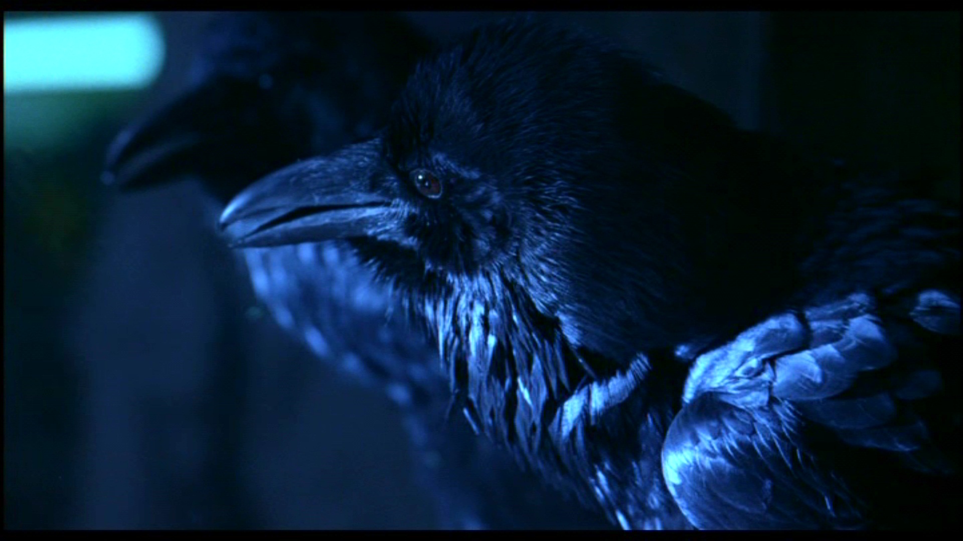 181454 Bild herunterladen filme, the crow die krähe - Hintergrundbilder und Bildschirmschoner kostenlos