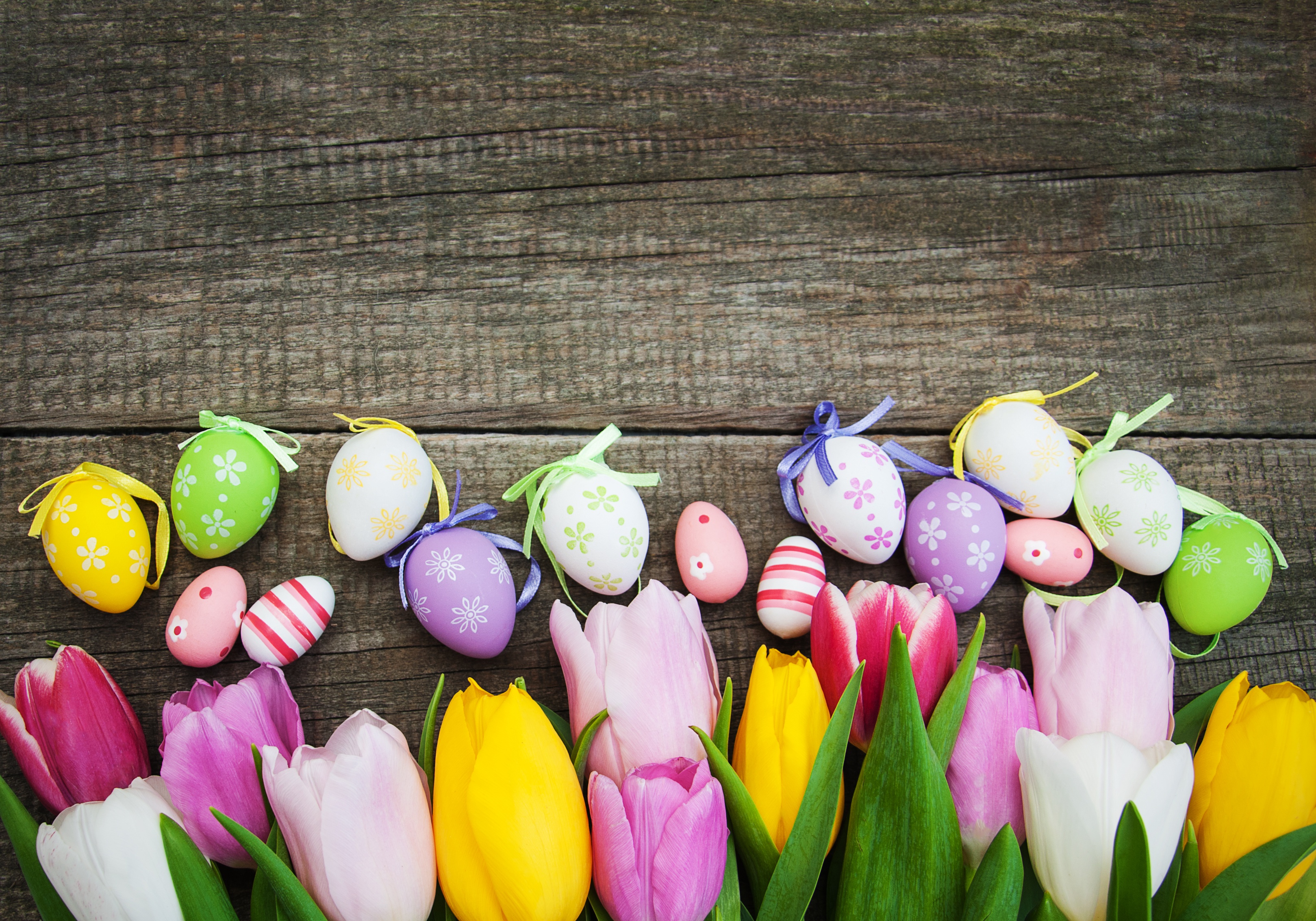 Descarga gratuita de fondo de pantalla para móvil de Pascua, Flor, Día Festivo, Tulipán, Huevo De Pascua.