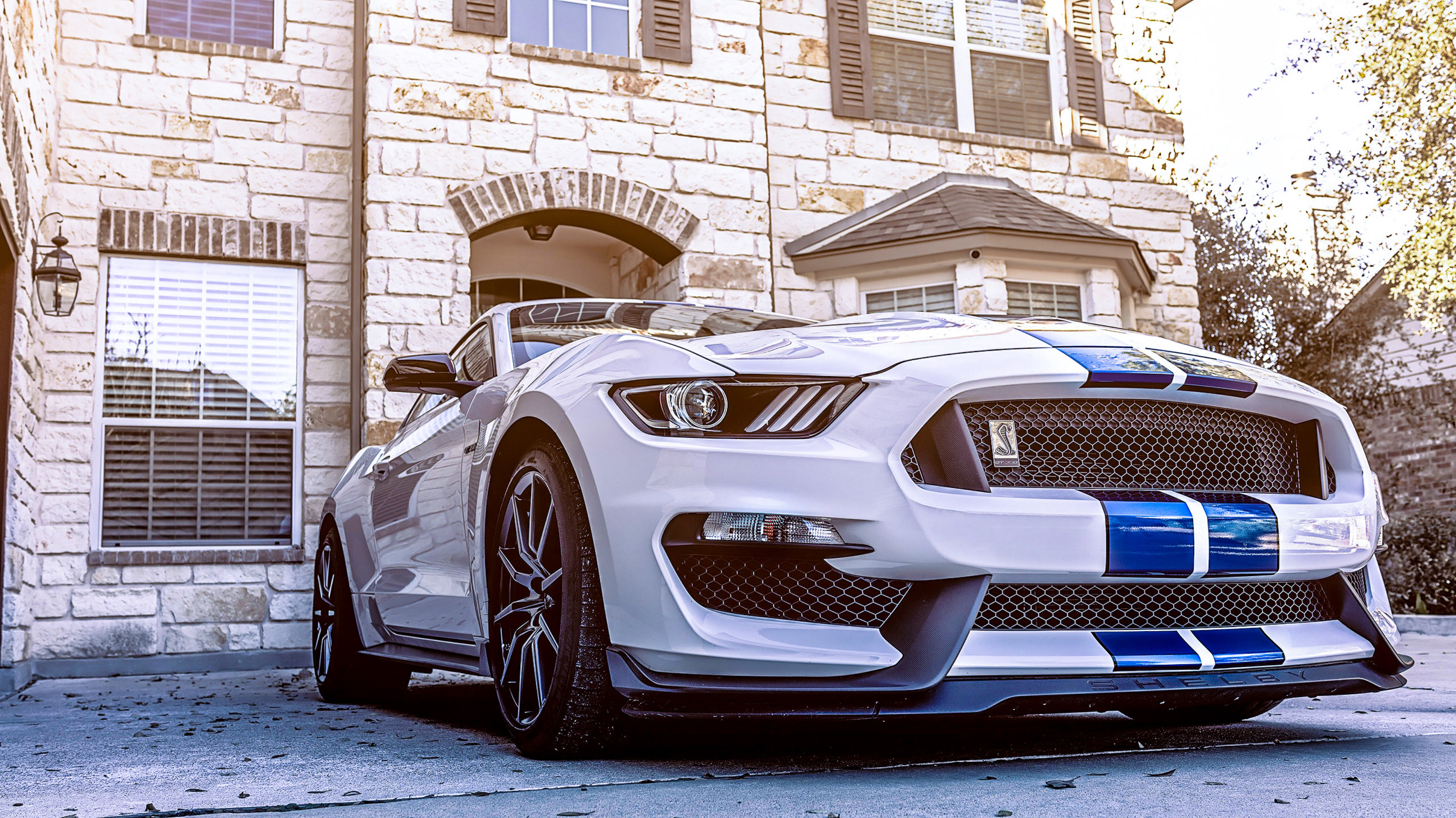 Laden Sie Ford Mustang Shelby Gt350 HD-Desktop-Hintergründe herunter