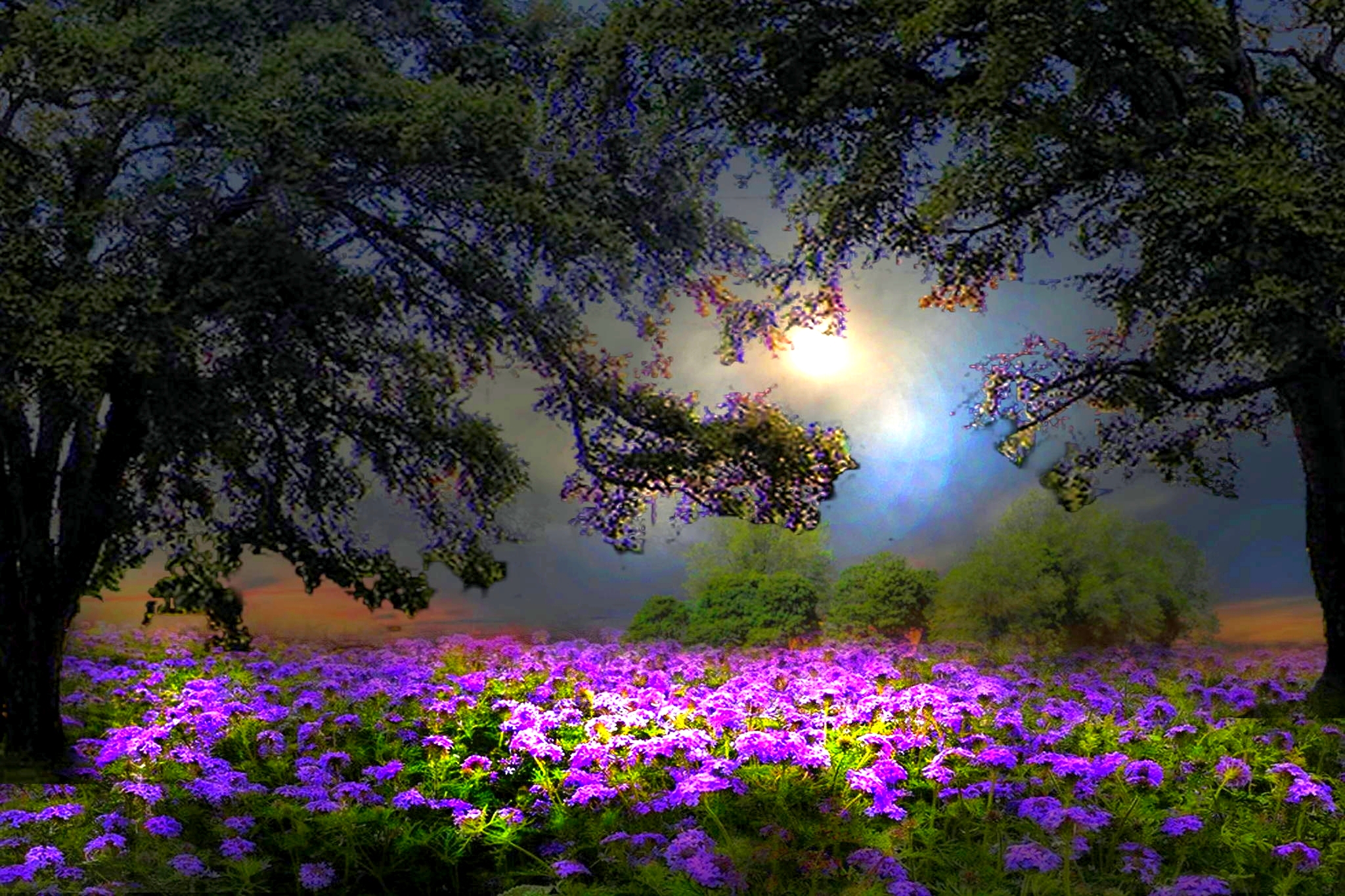 Free download wallpaper Landscape, Fantasy, Moon, Flower, Light, Tree, Field on your PC desktop