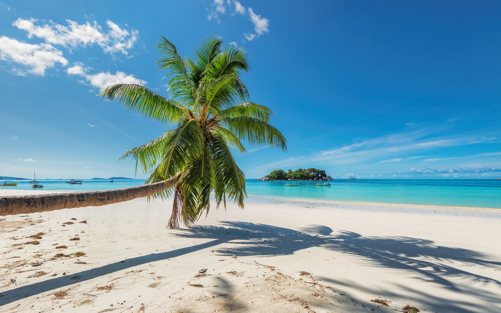 Laden Sie das Strand, Palme, Tropisch, Meer, Erde/natur-Bild kostenlos auf Ihren PC-Desktop herunter