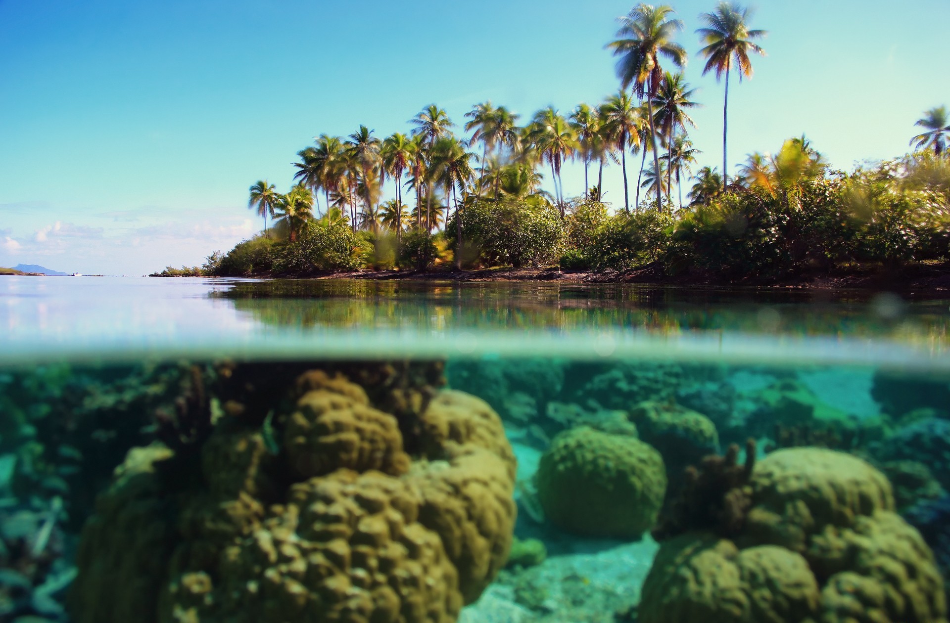 Descarga gratuita de fondo de pantalla para móvil de Isla, Tierra/naturaleza.