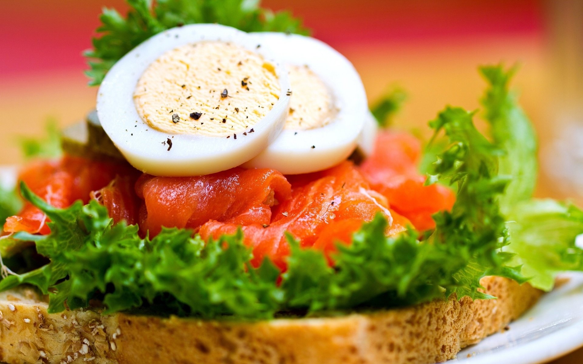 Download mobile wallpaper Food, Fish, Egg, Toast, Salmon, Lettuce for free.