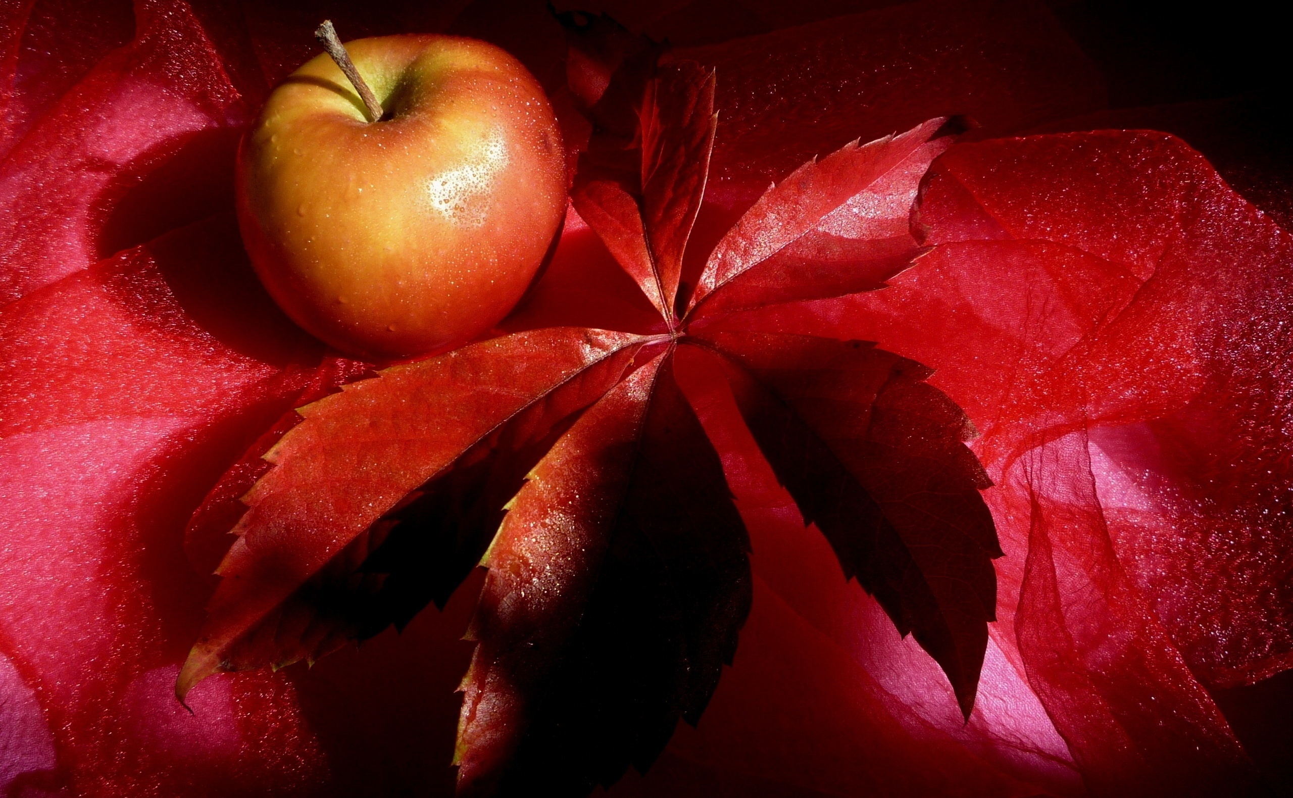 still life, food, apple, sheet, leaf Desktop Wallpaper