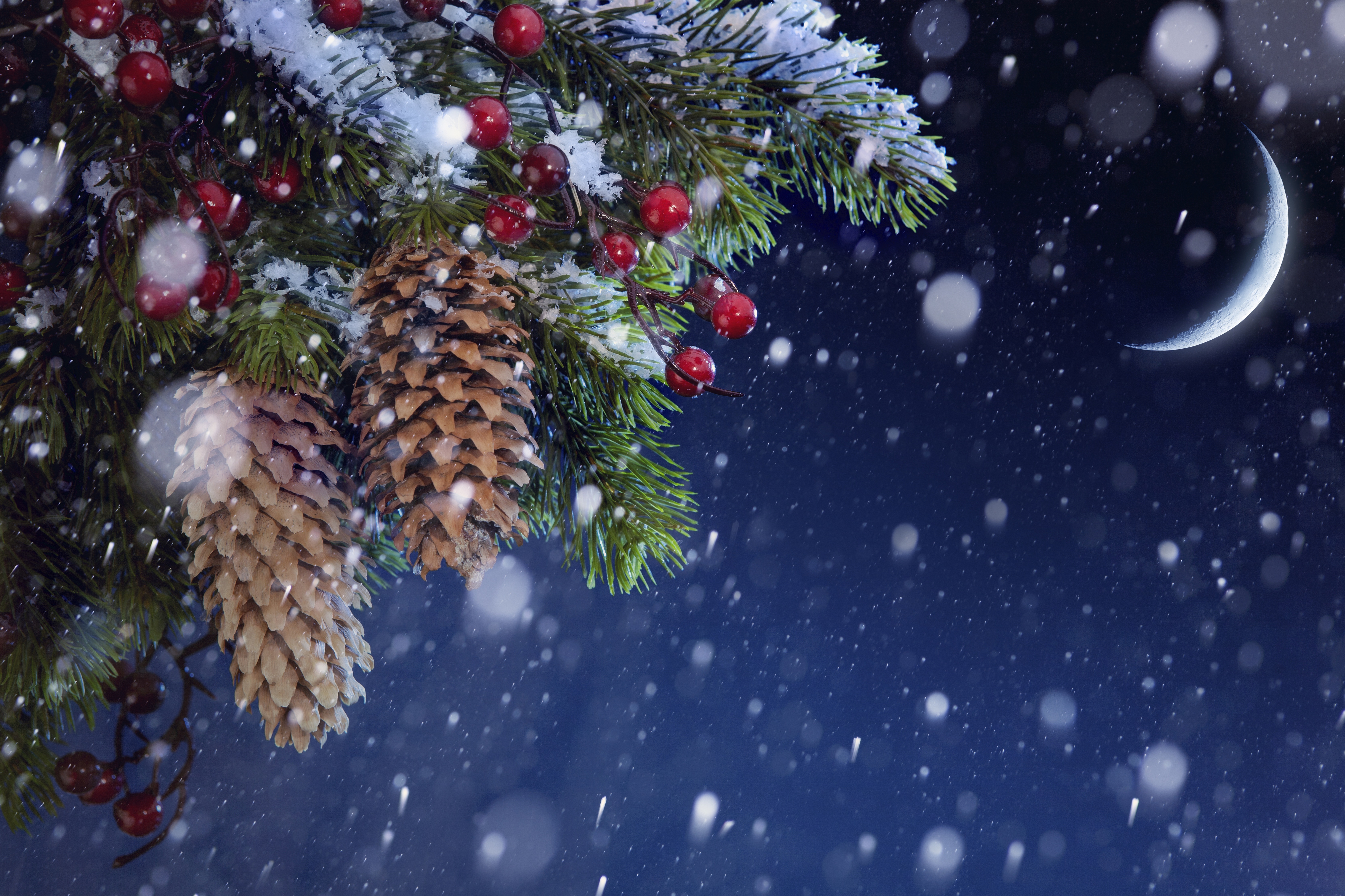 snowfall, branch, holiday, christmas, berry, moon, pine cone