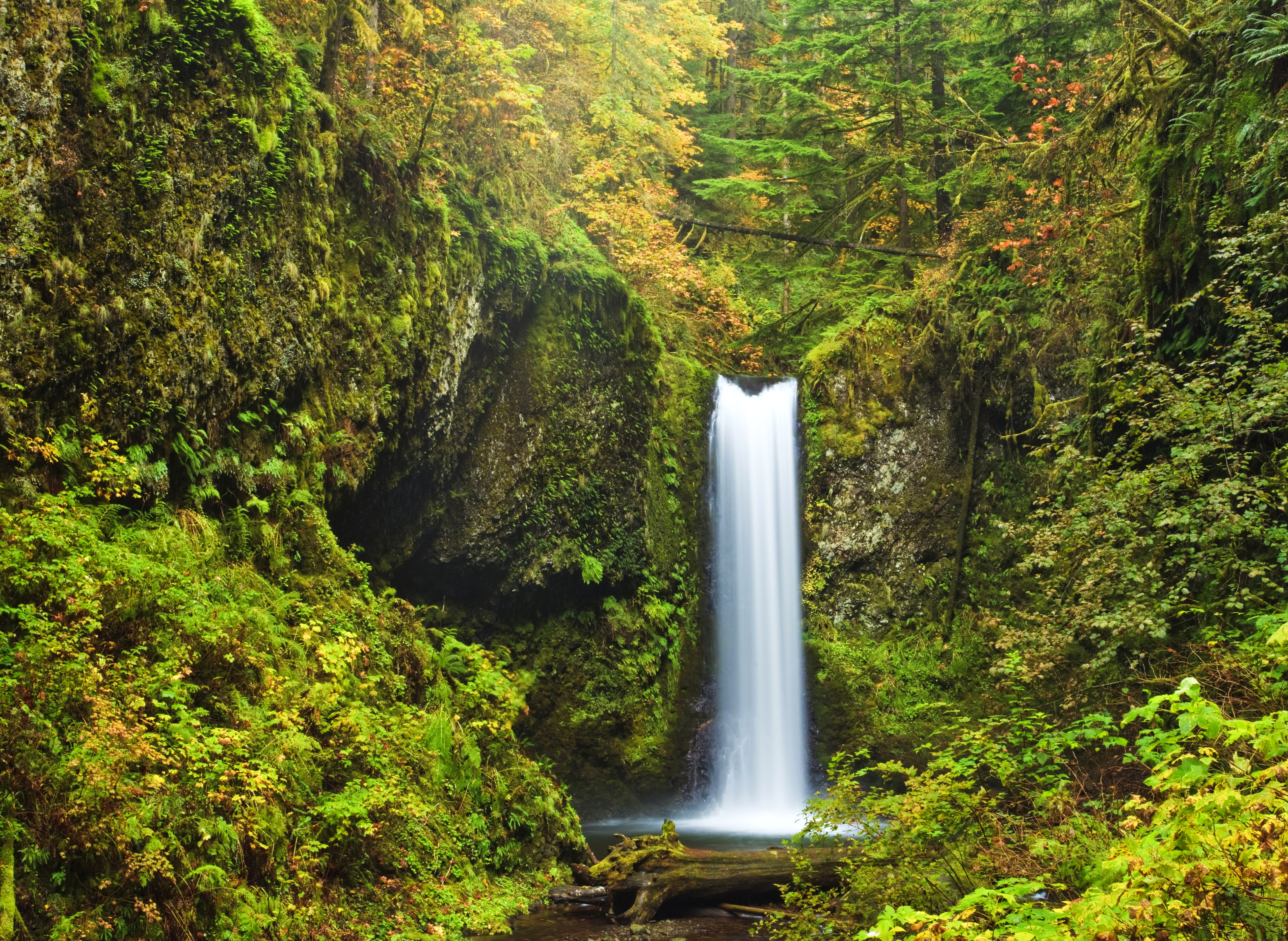 Скачать картинку Водопады, Водопад, Лес, Дерево, Зеленый, Hdr, Земля/природа в телефон бесплатно.