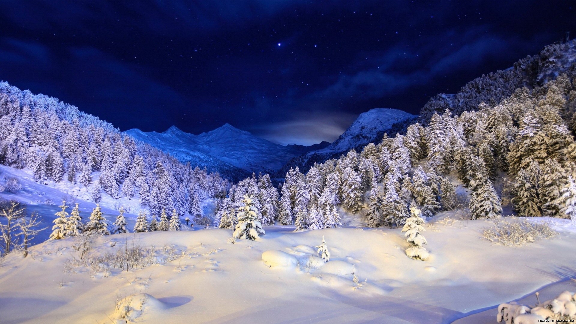 Download mobile wallpaper Trees, Landscape, Snow for free.
