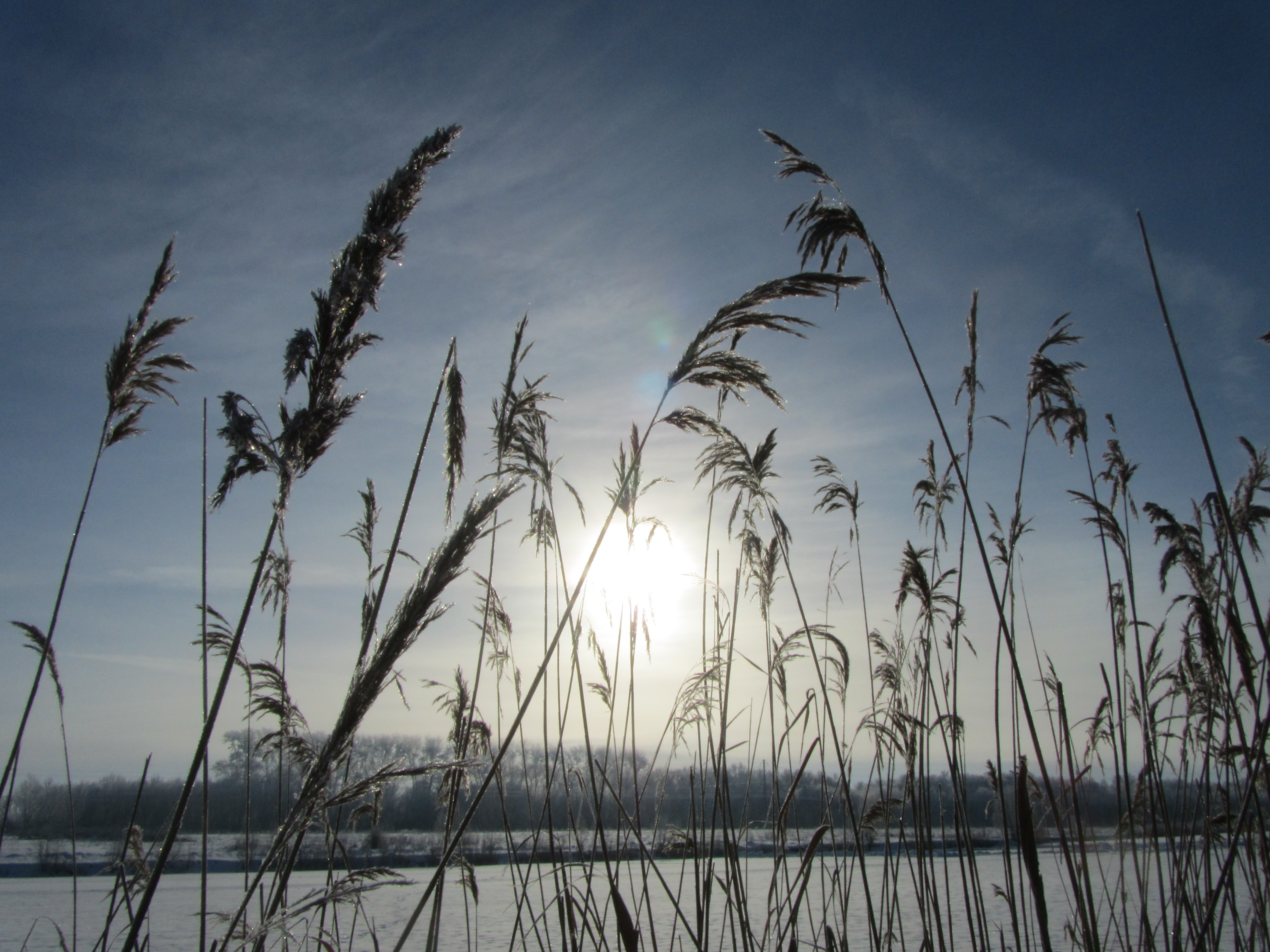 Descarga gratis la imagen Rayo De Sol, Tierra/naturaleza en el escritorio de tu PC