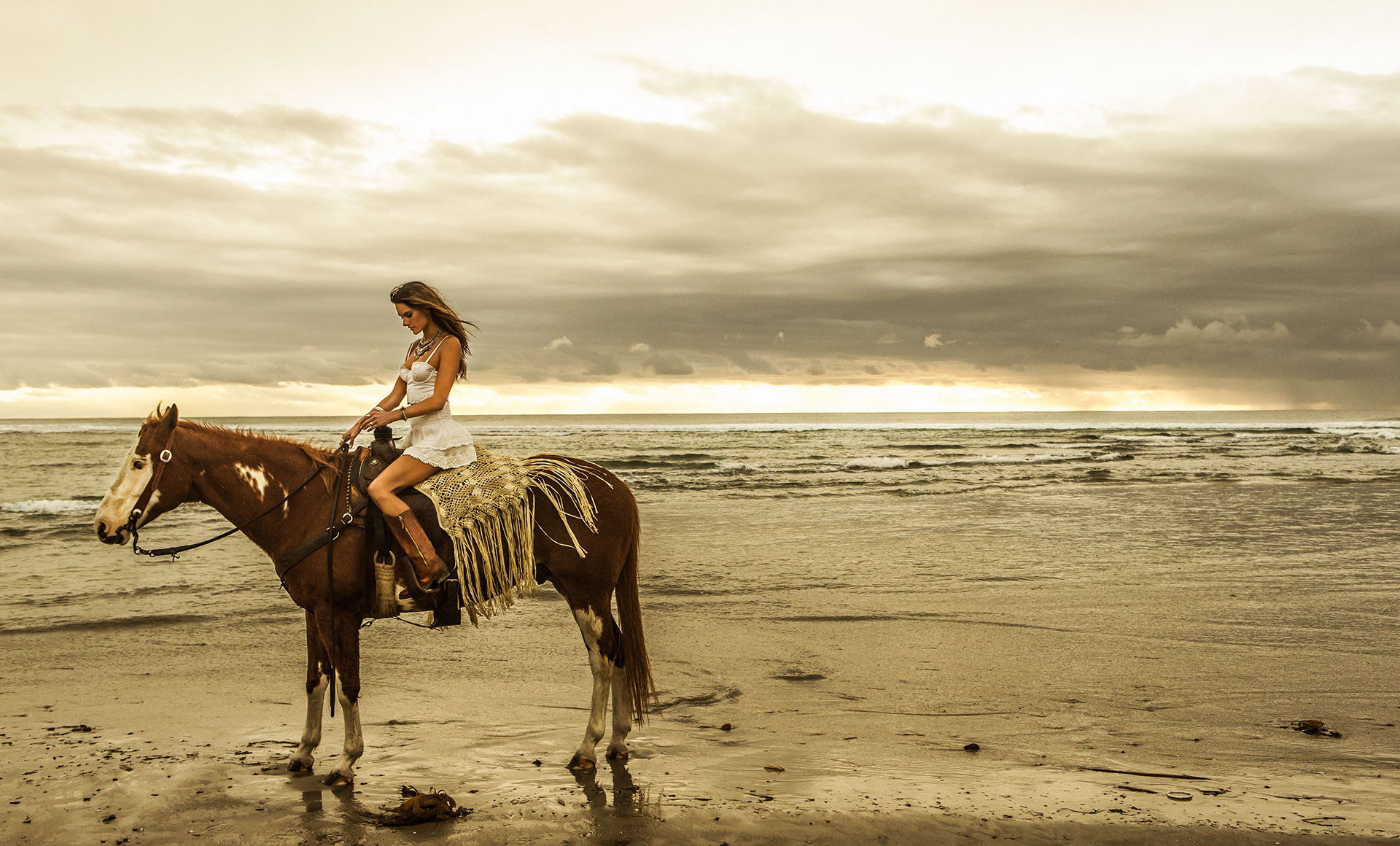 PCデスクトップに馬, ビーチ, 地平線, 海洋, モデル, 有名人, アレッサンドラ・アンブロジオ, ブラジル人画像を無料でダウンロード