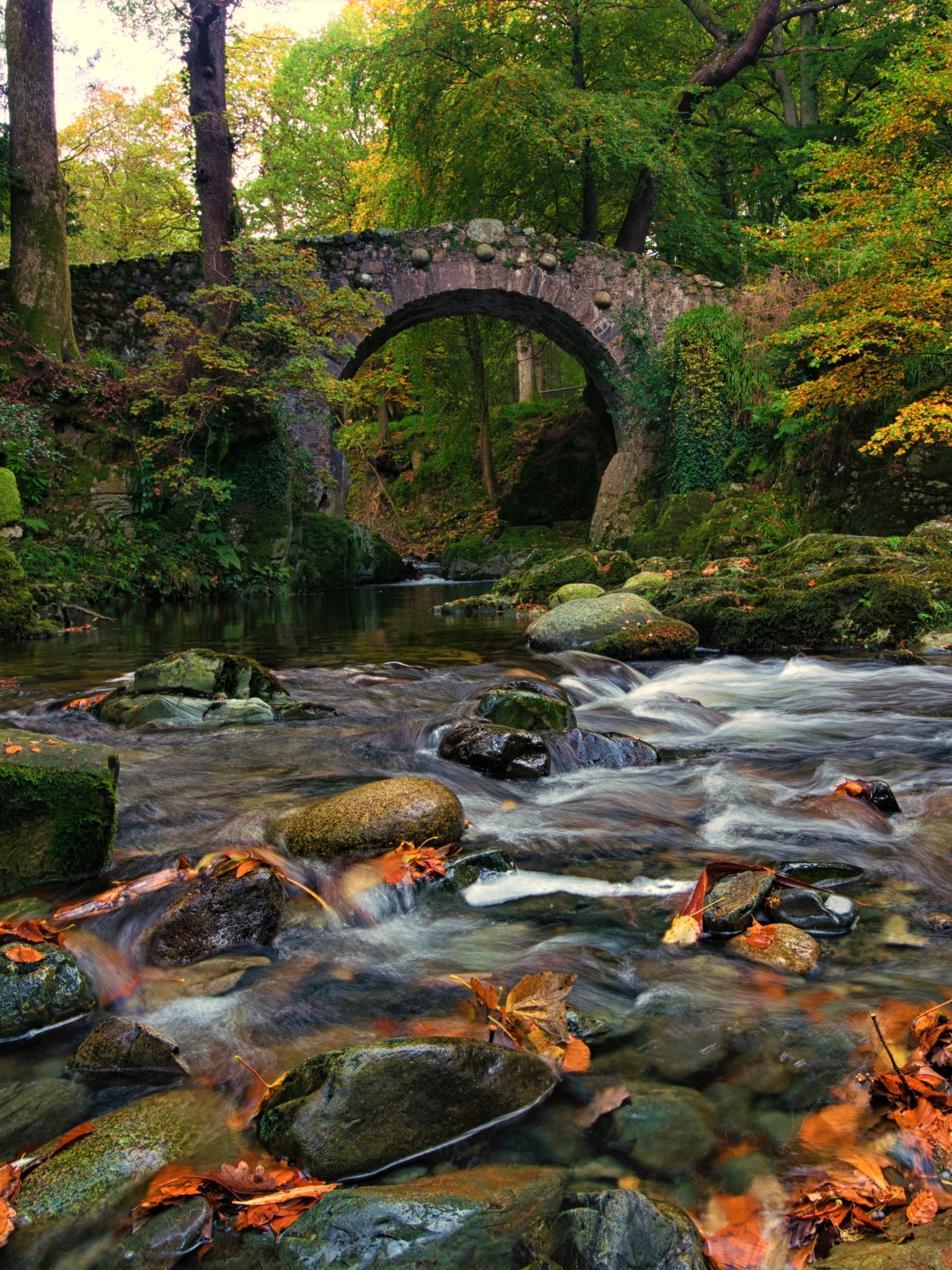 Download mobile wallpaper Earth, Bridge, River for free.