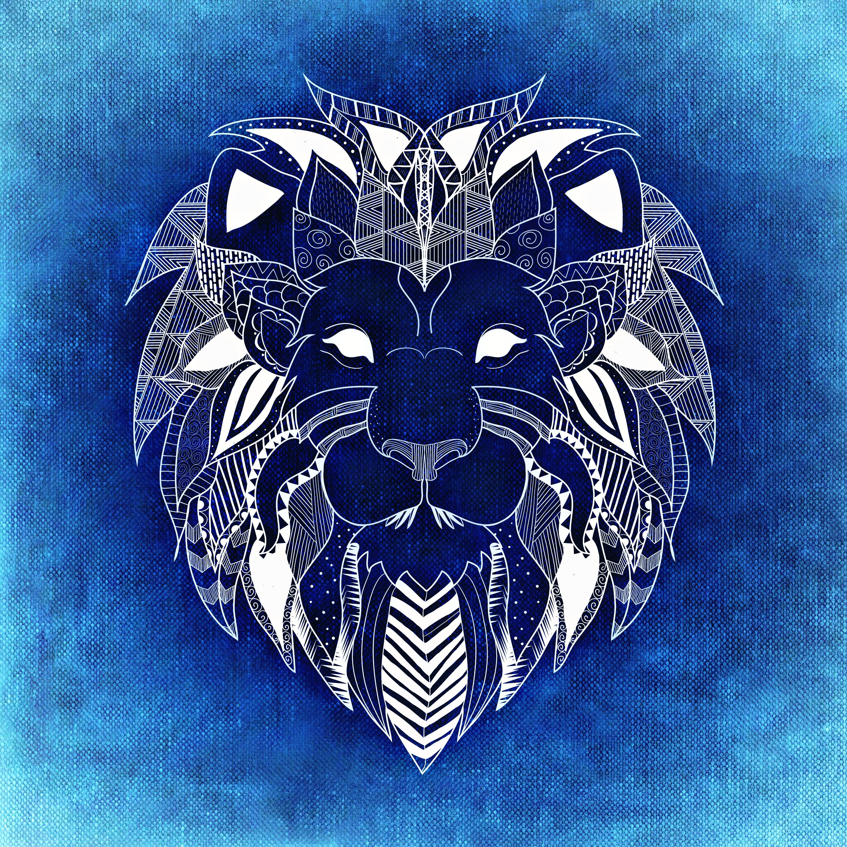 無料モバイル壁紙ライオン, 青い, 白い, パターン, アートをダウンロードします。