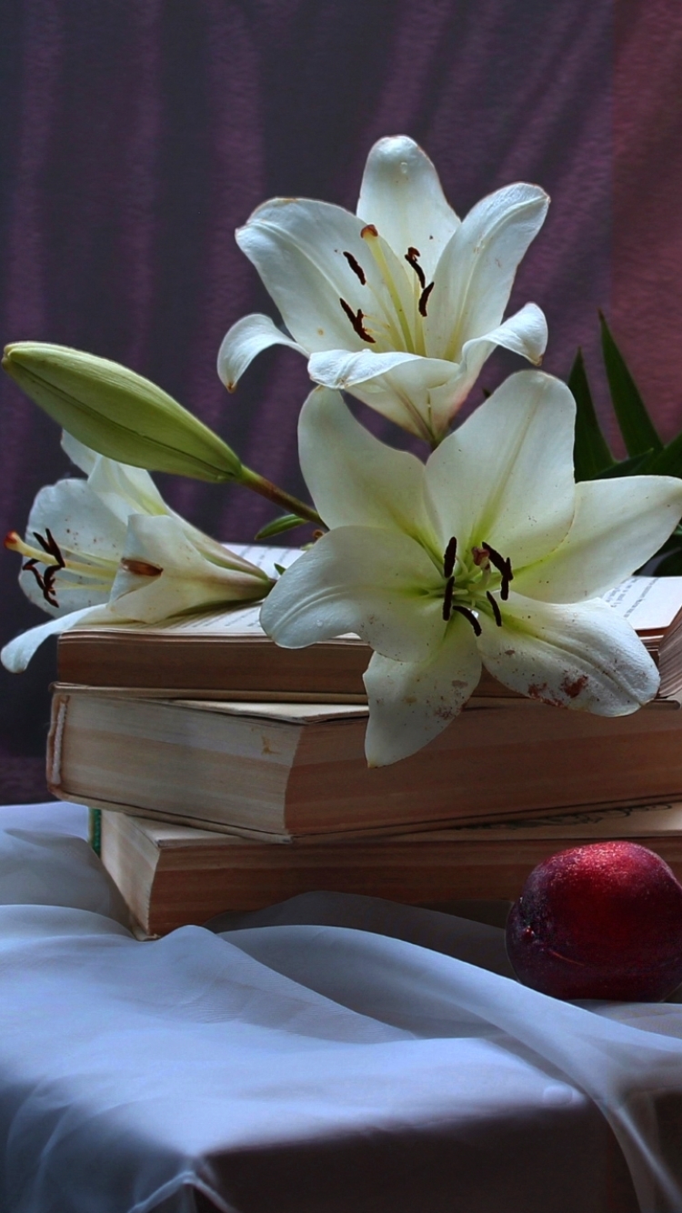 Download mobile wallpaper Still Life, Fruit, Book, Lily, Photography for free.