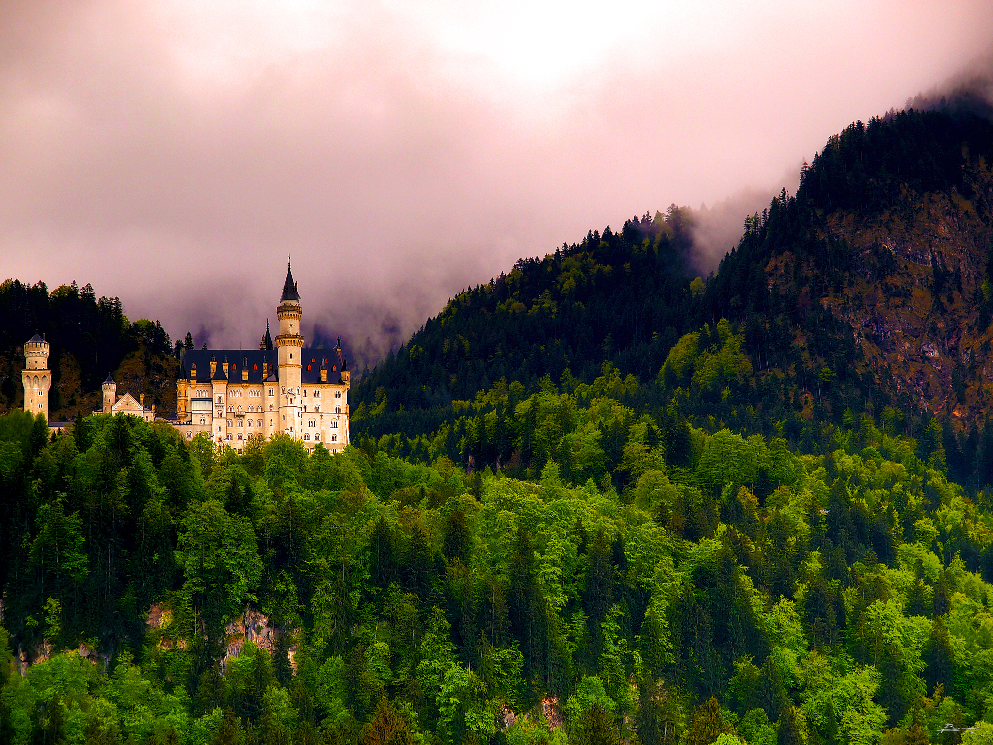 Laden Sie das Schlösser, Wald, Baum, Nebel, Deutschland, Schloss Neuschwanstein, Menschengemacht-Bild kostenlos auf Ihren PC-Desktop herunter