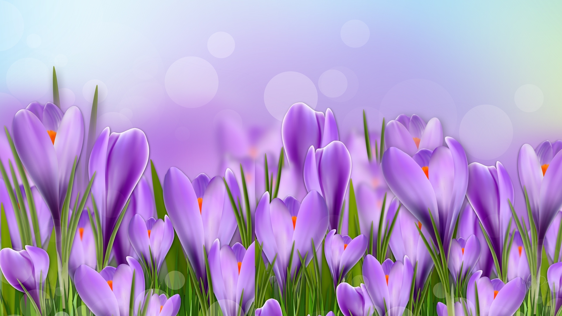 Скачать картинку Цветок, Весна, Крокус, Фиолетовый Цветок, Художественные, Флауэрсы в телефон бесплатно.